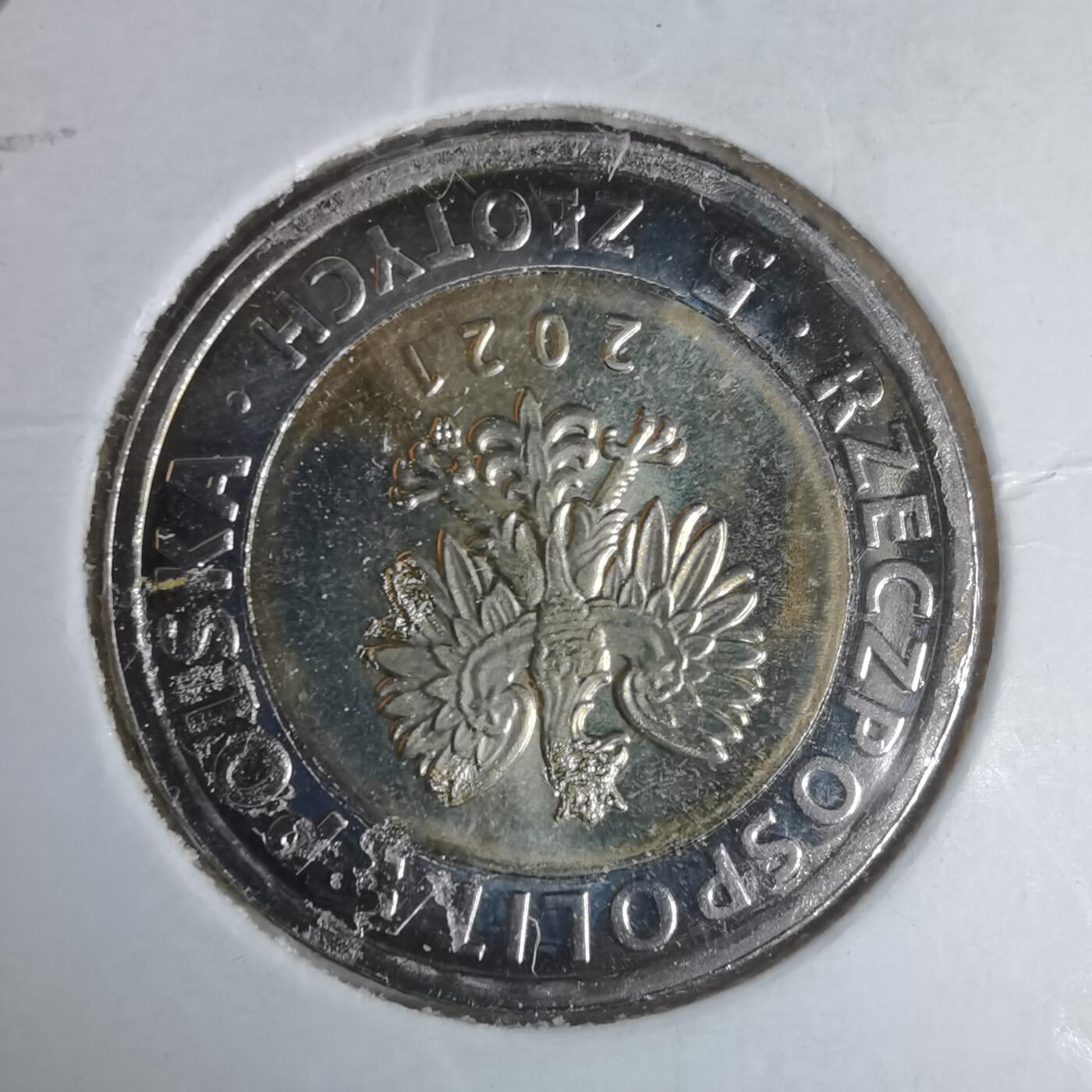 沼泽如烟--第981场