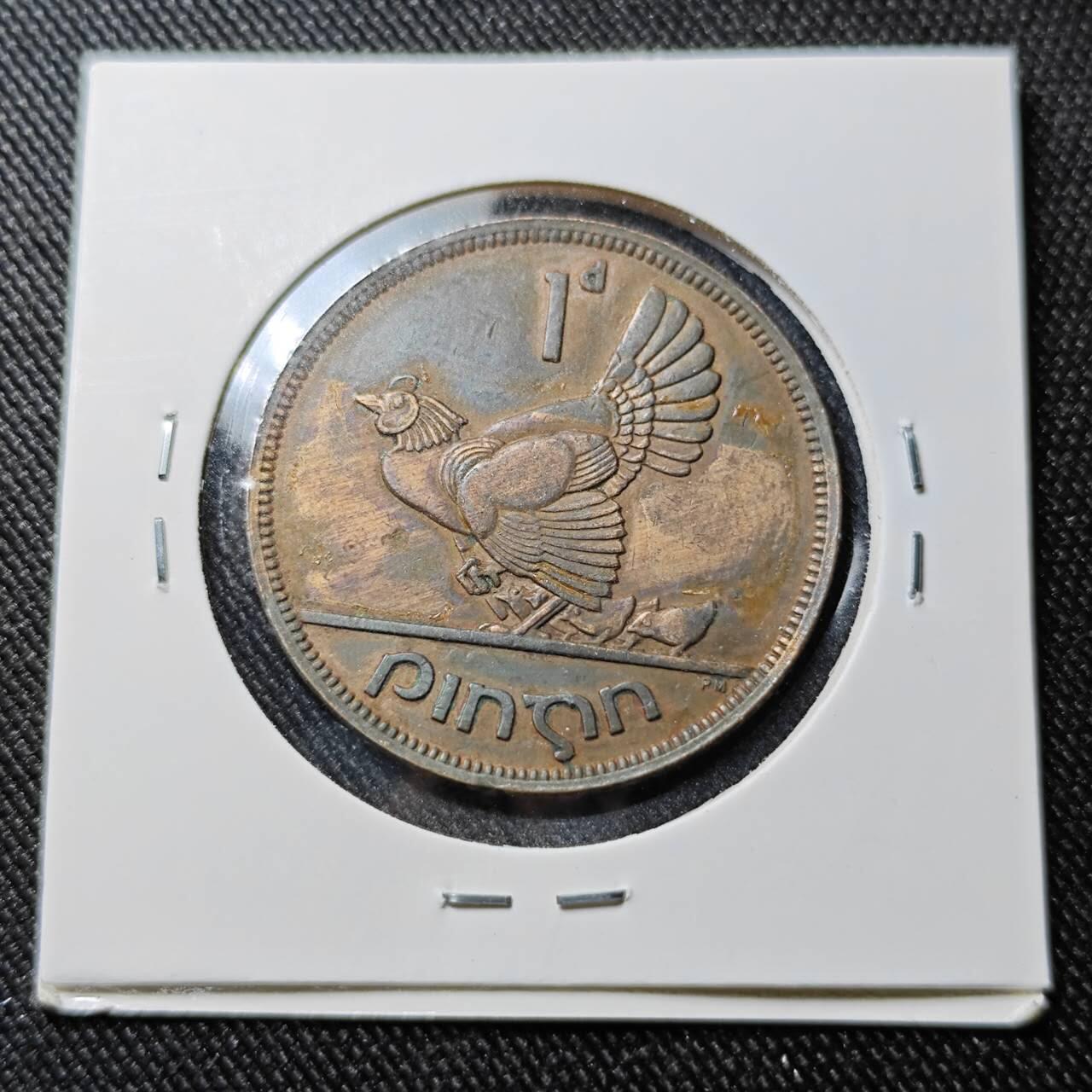 KK钱币收藏小铺  第391期  2月预留时间 周末发货 1949爱尔兰1便士 母鸡铜币 