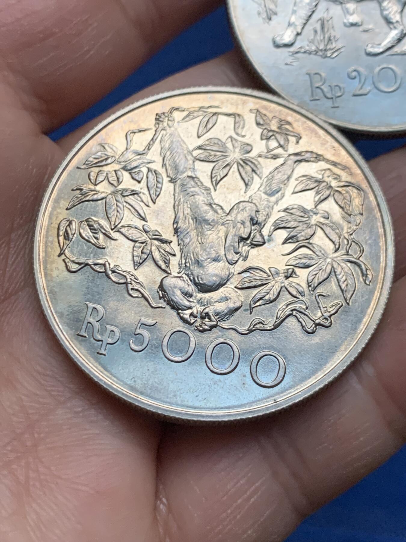 《竞宝斋》第463-465场 周日，周一，周二，3场连拍 （全场包邮）欢迎送拍 两枚一组 1974年印尼爪哇虎大猩猩银币 500银 总重57.5克