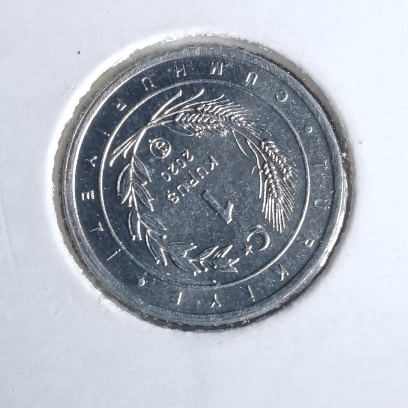 沼泽如烟--第981场 土耳其小鸟系列