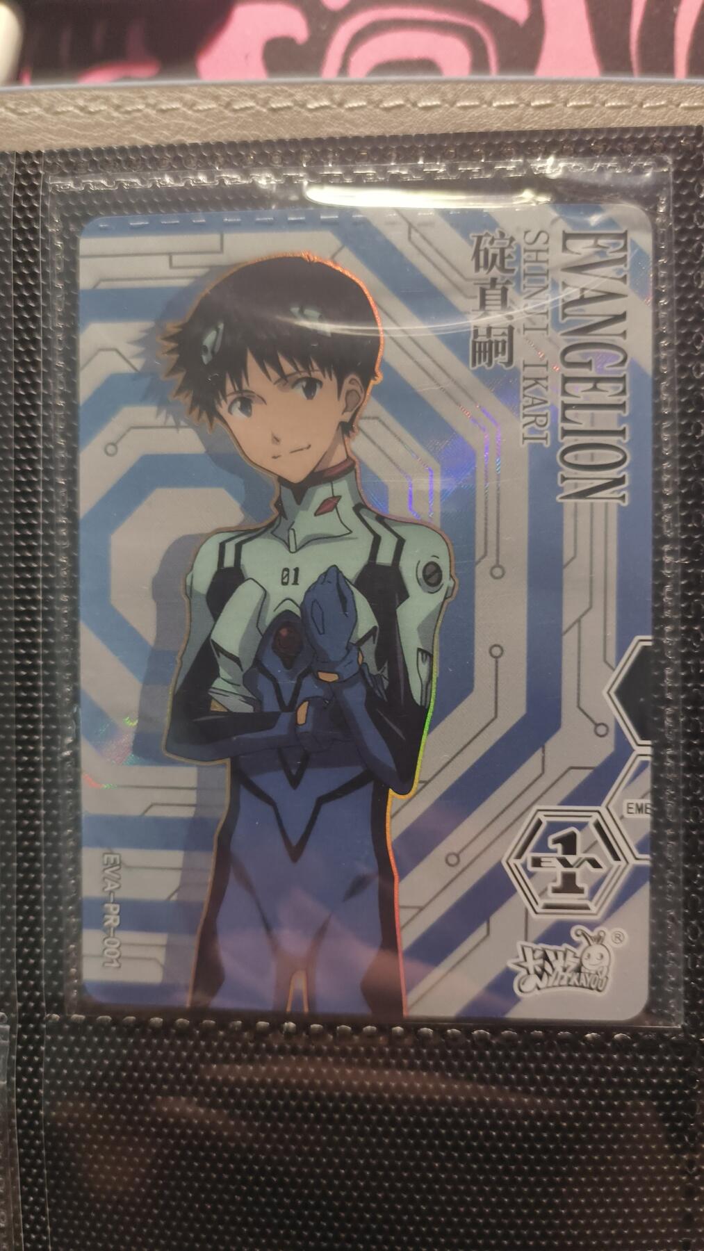 卡牌实验室开始第十三次实验 【PR】卡游EVA