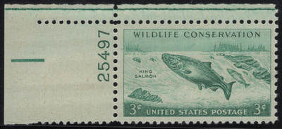 洪涛臻品批发群 精选邮票限时拍卖第1244期  - 1956美国濒危野生保护动物-大马哈鱼 左上角边带版号！雕刻版原胶全品！