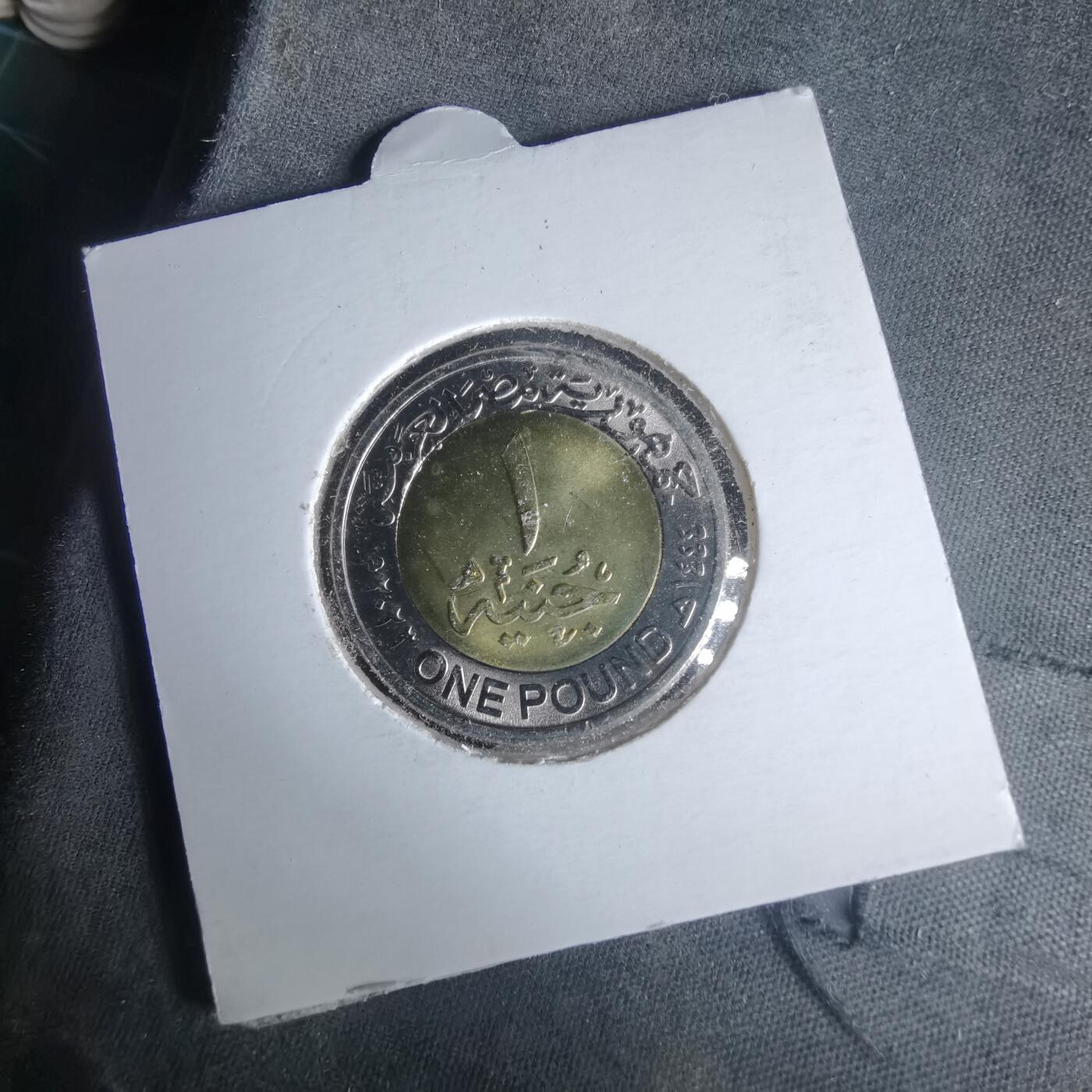 沼泽如烟--第981场 埃及2023年1磅纪念币