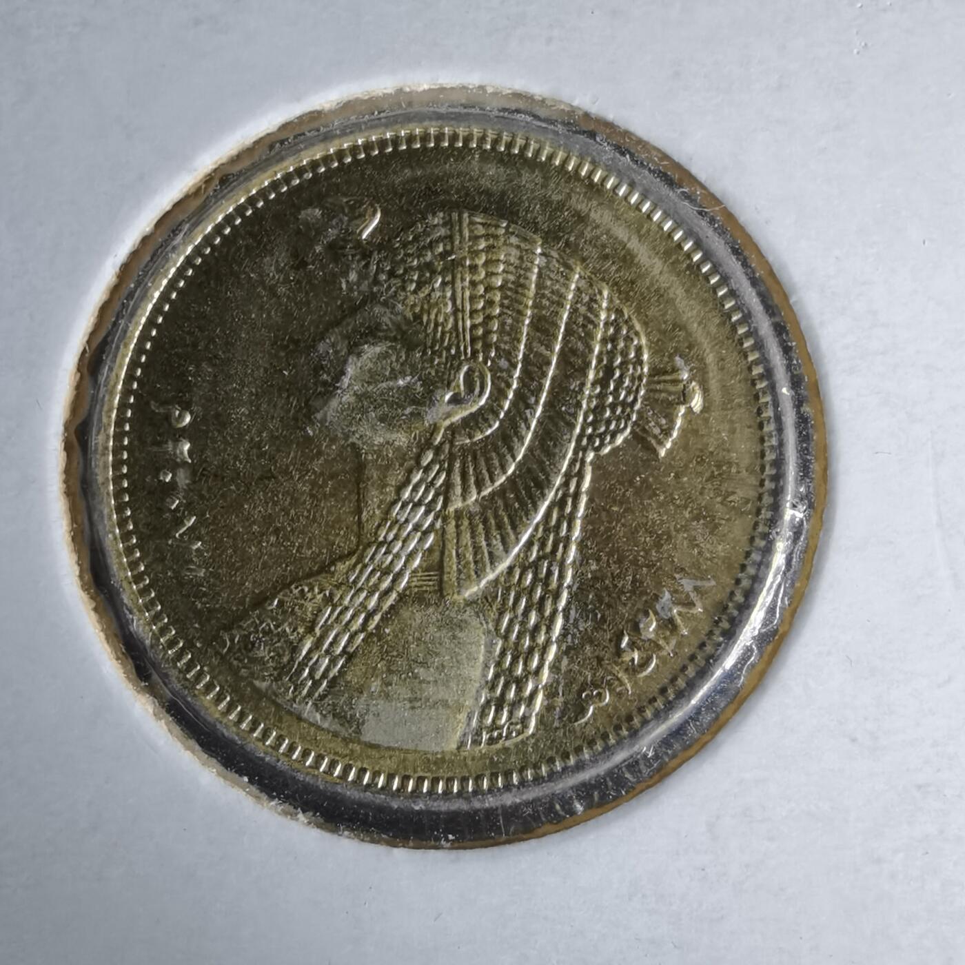 沼泽如烟--第981场