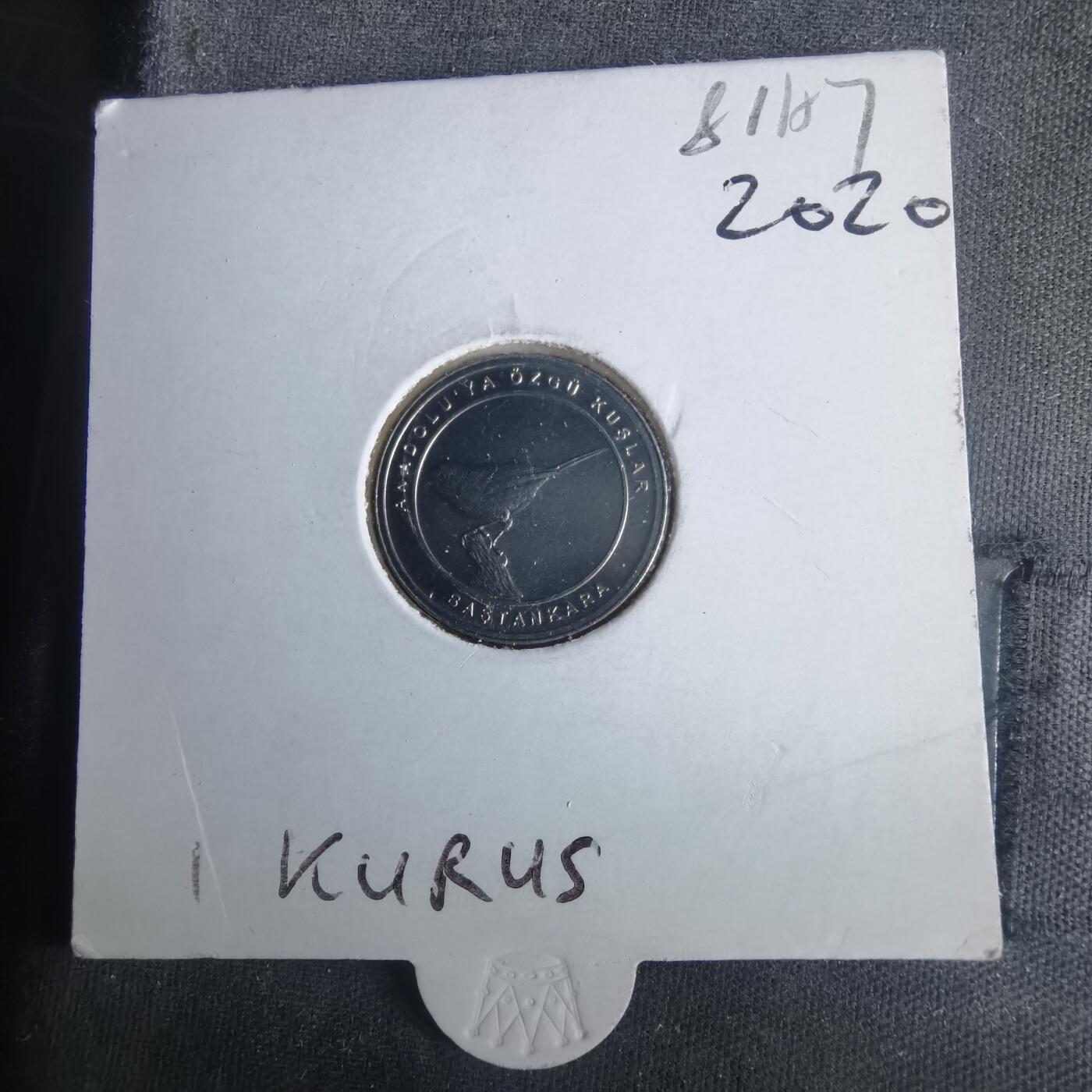 沼泽如烟--第981场 土耳其小鸟系列