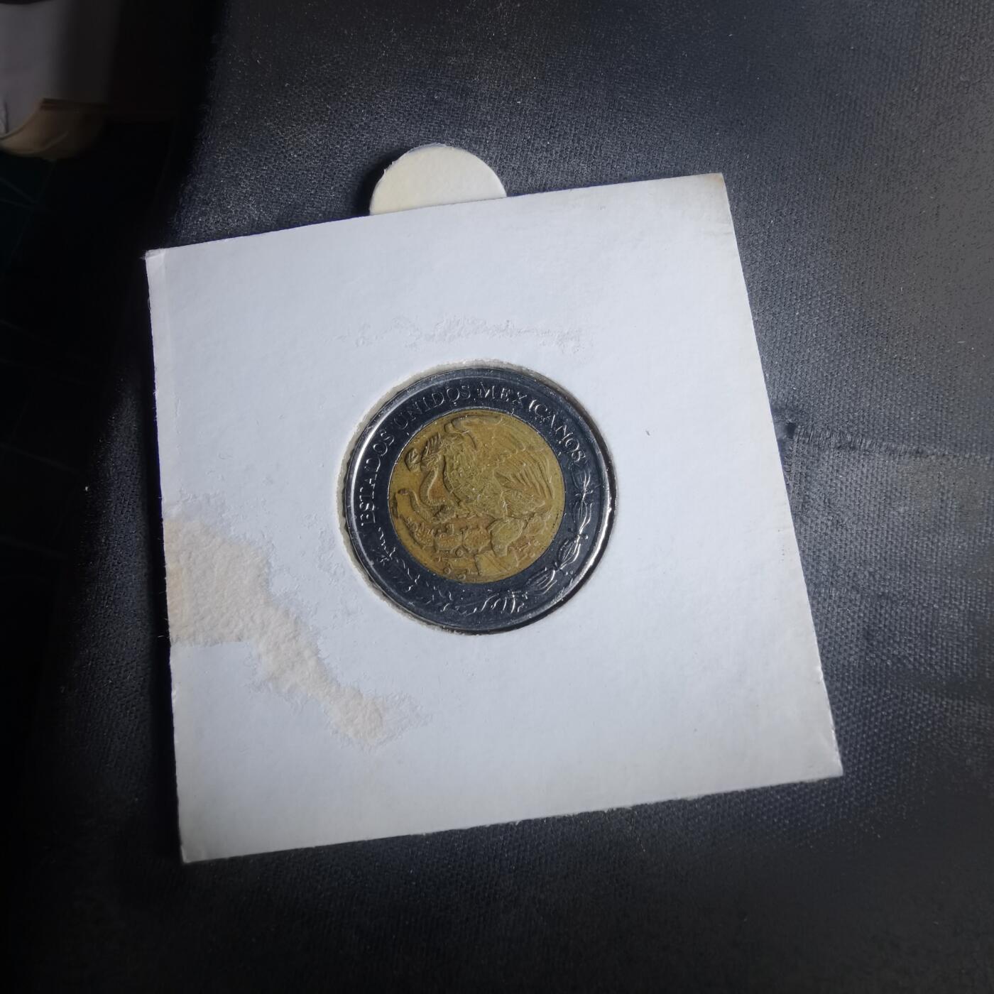 沼泽如烟--第981场