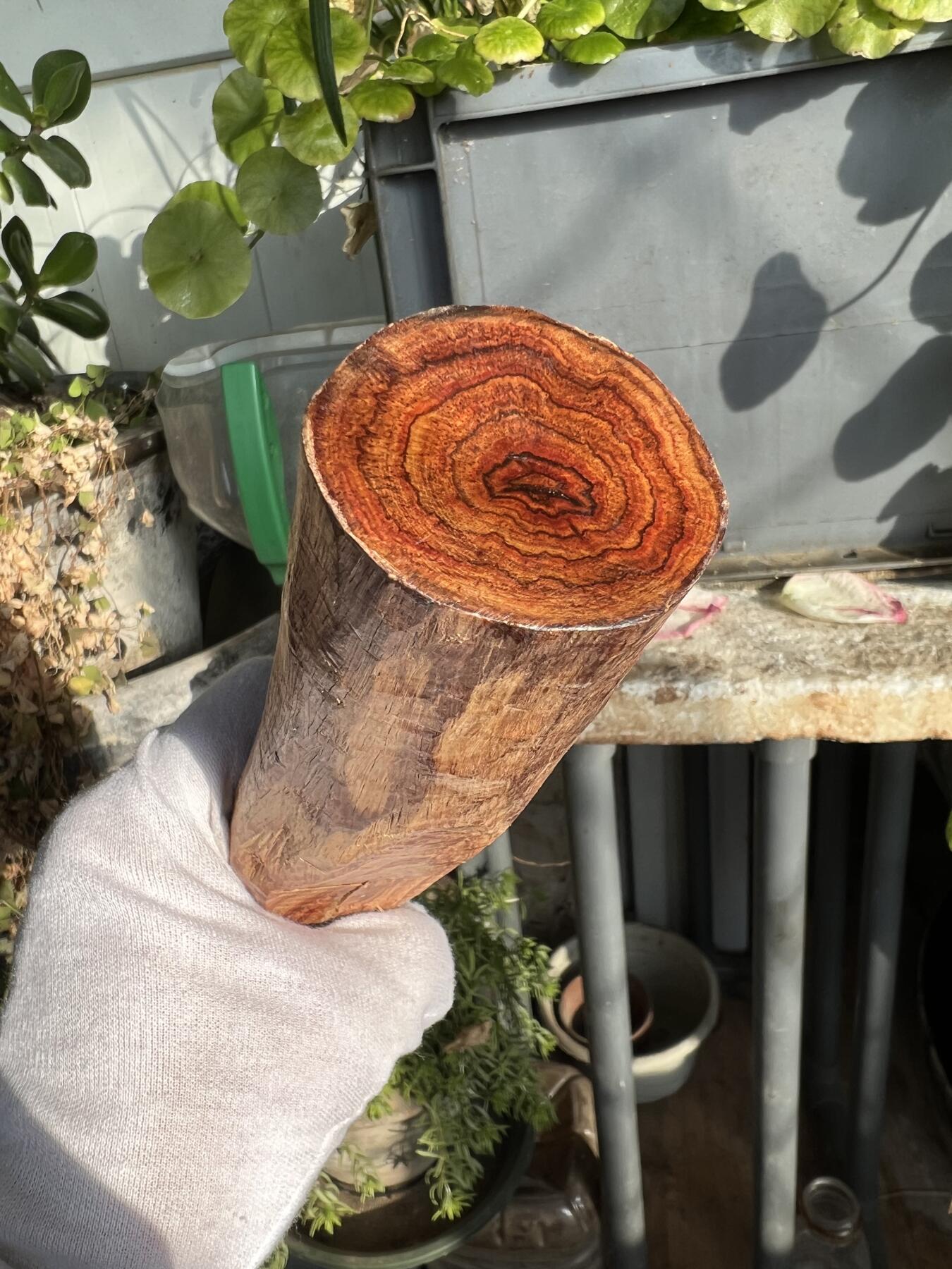 零元拍：NO.35-7海南黄花梨珠子把件料，外面白皮基本都去掉了，红肉打底花纹很漂亮。350/45/55MM