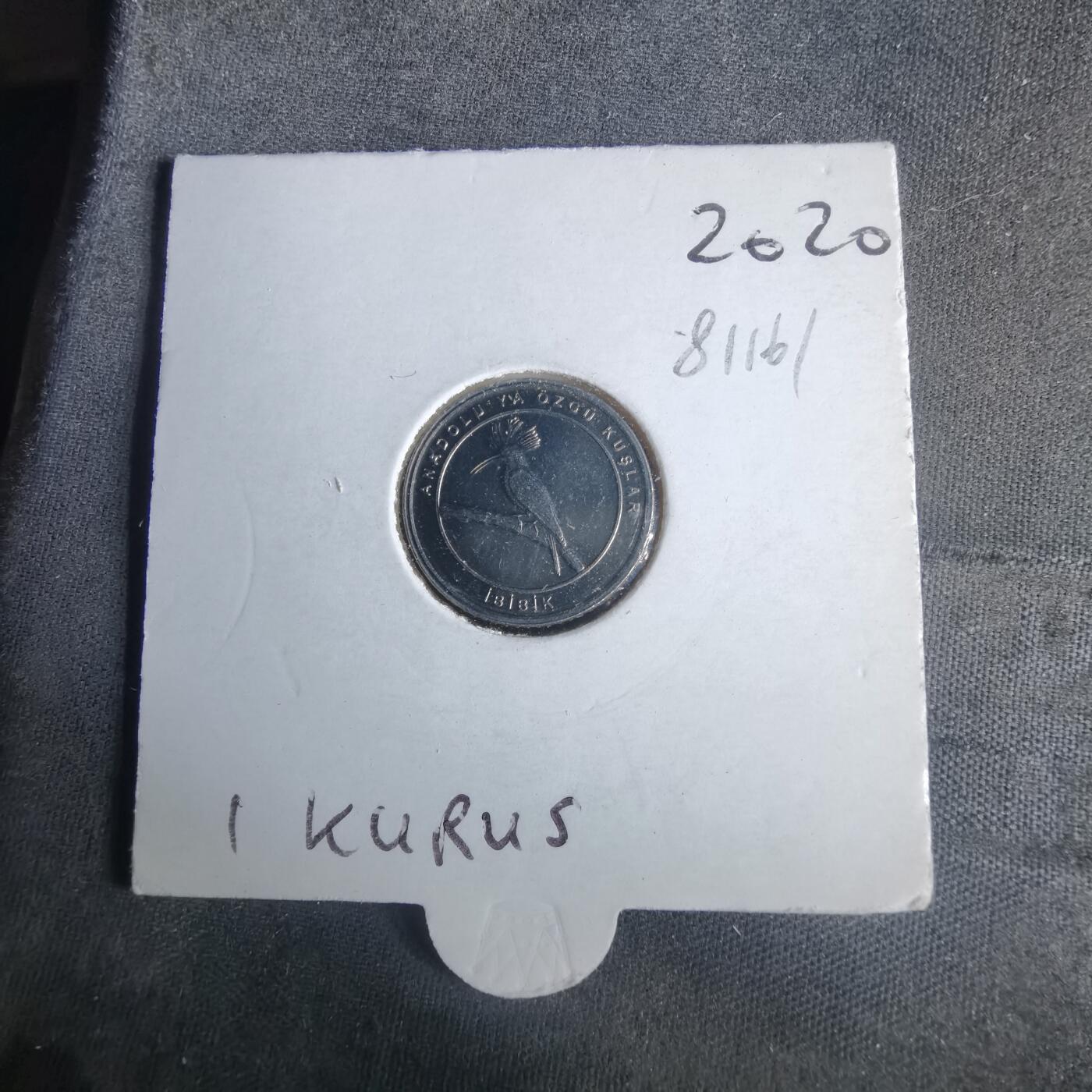 沼泽如烟--第981场 土耳其小鸟系列