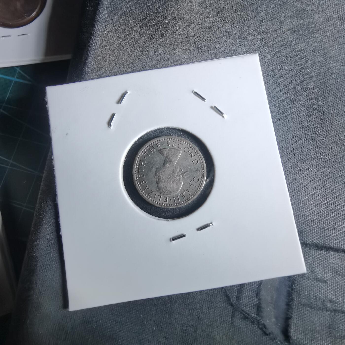 沼泽如烟--第982场