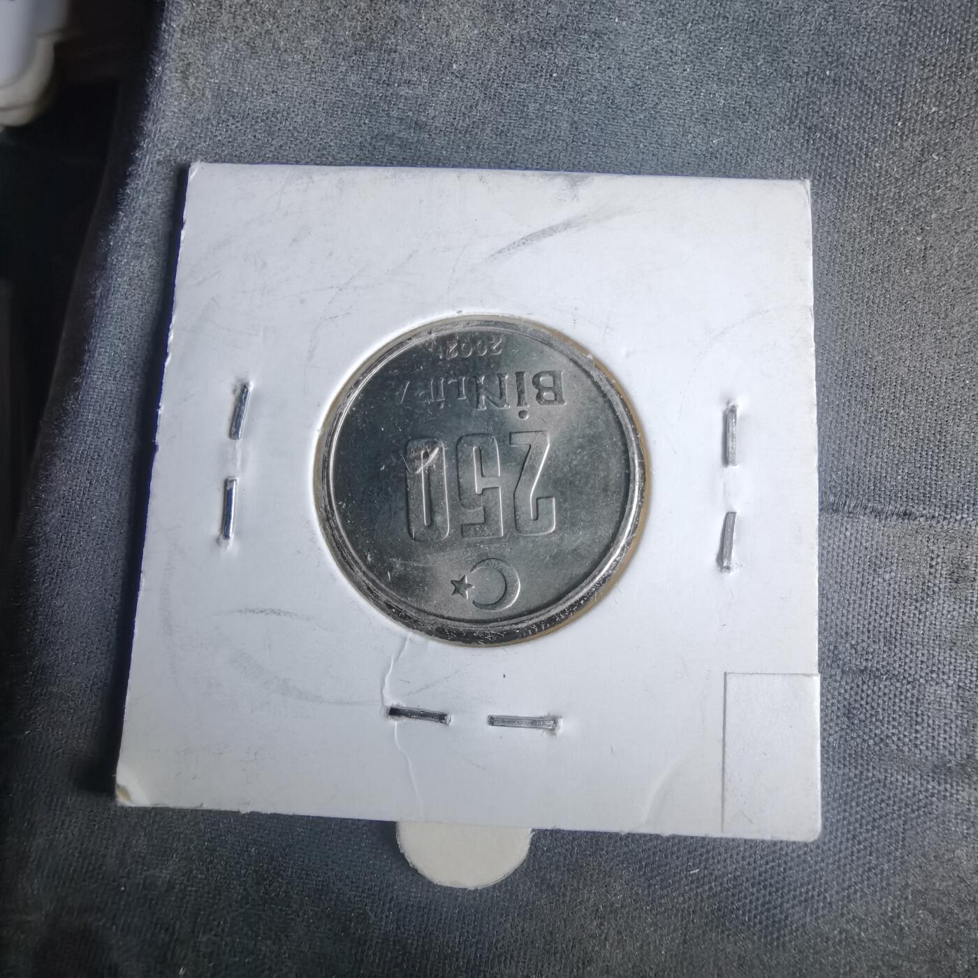 沼泽如烟--第981场