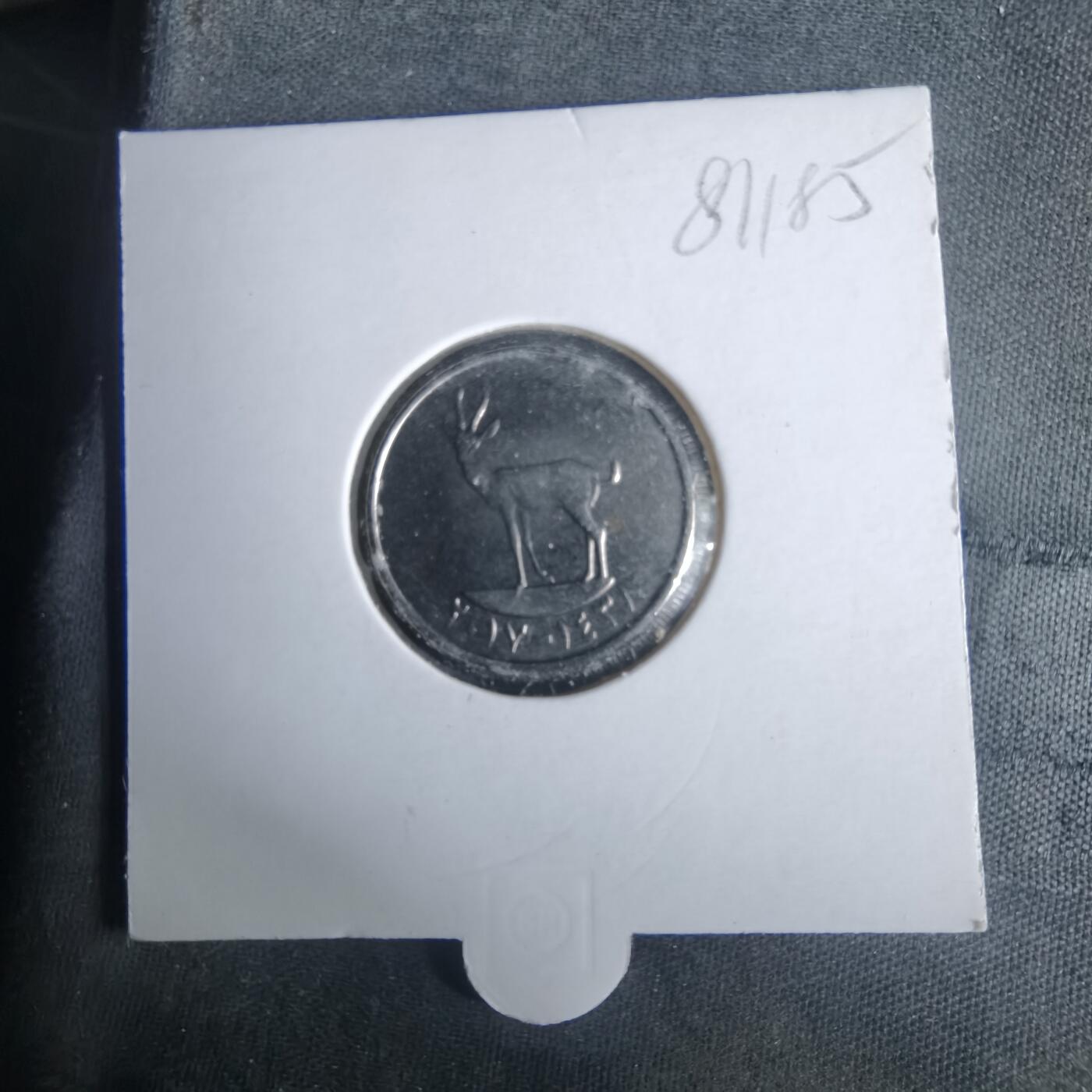 沼泽如烟--第981场 阿联酋