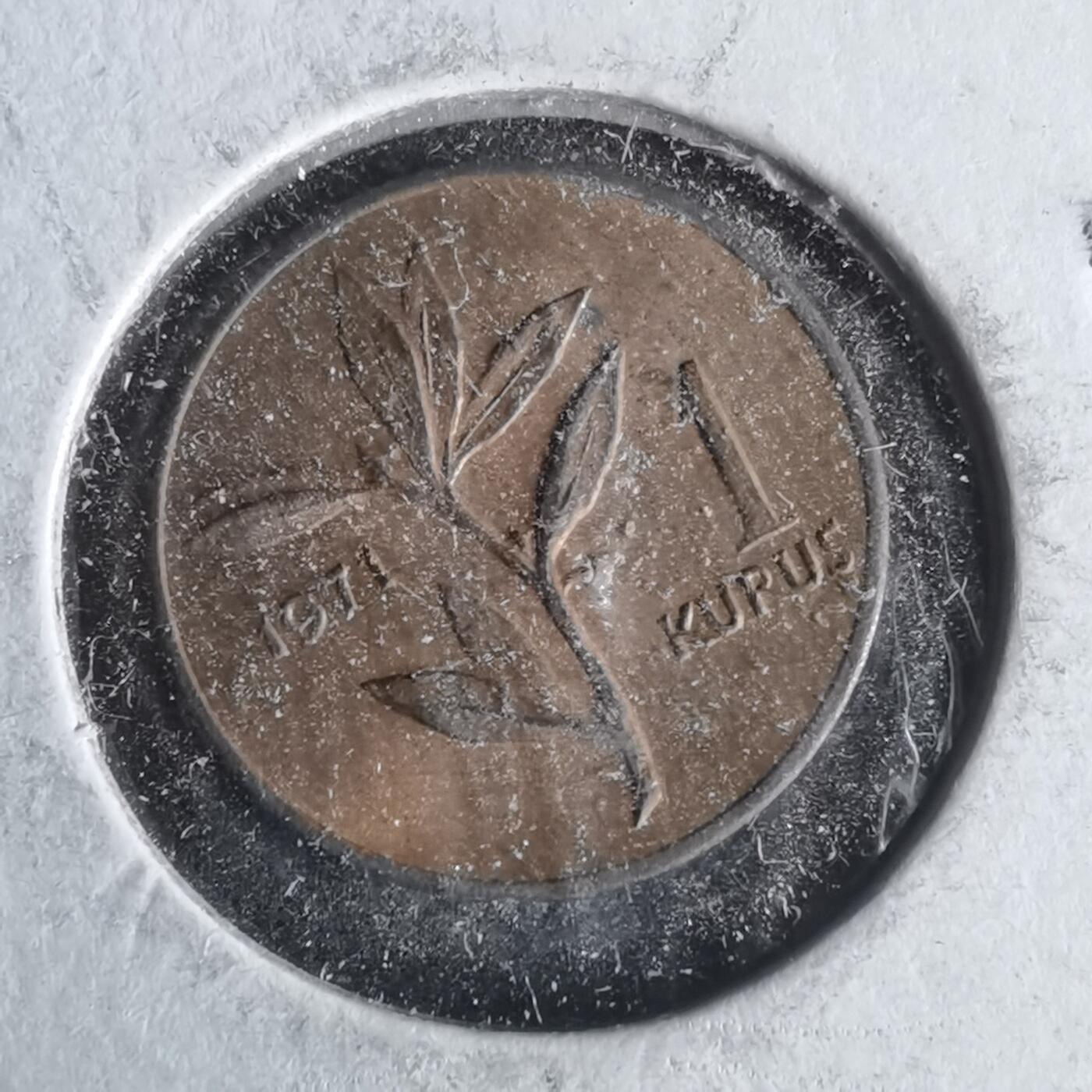 沼泽如烟--第981场 土耳其1971年1库鲁