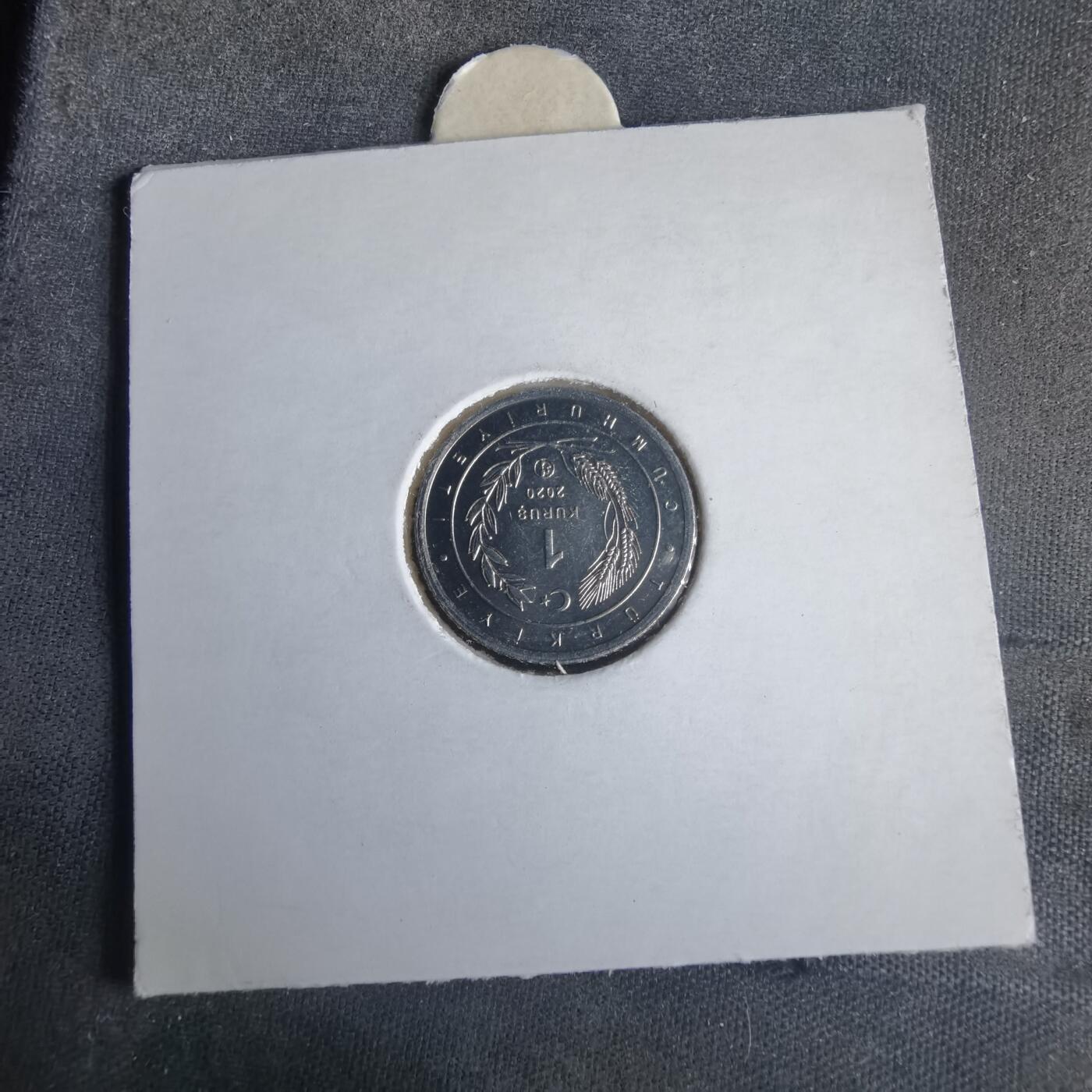 沼泽如烟--第981场 土耳其小鸟系列