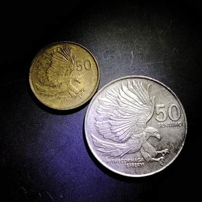 菲律宾50分硬币版别一组2枚 食猴鹰 保真按图发货8515 - 菲律宾50分硬币版别一组2枚 食猴鹰 保真按图发货8515
