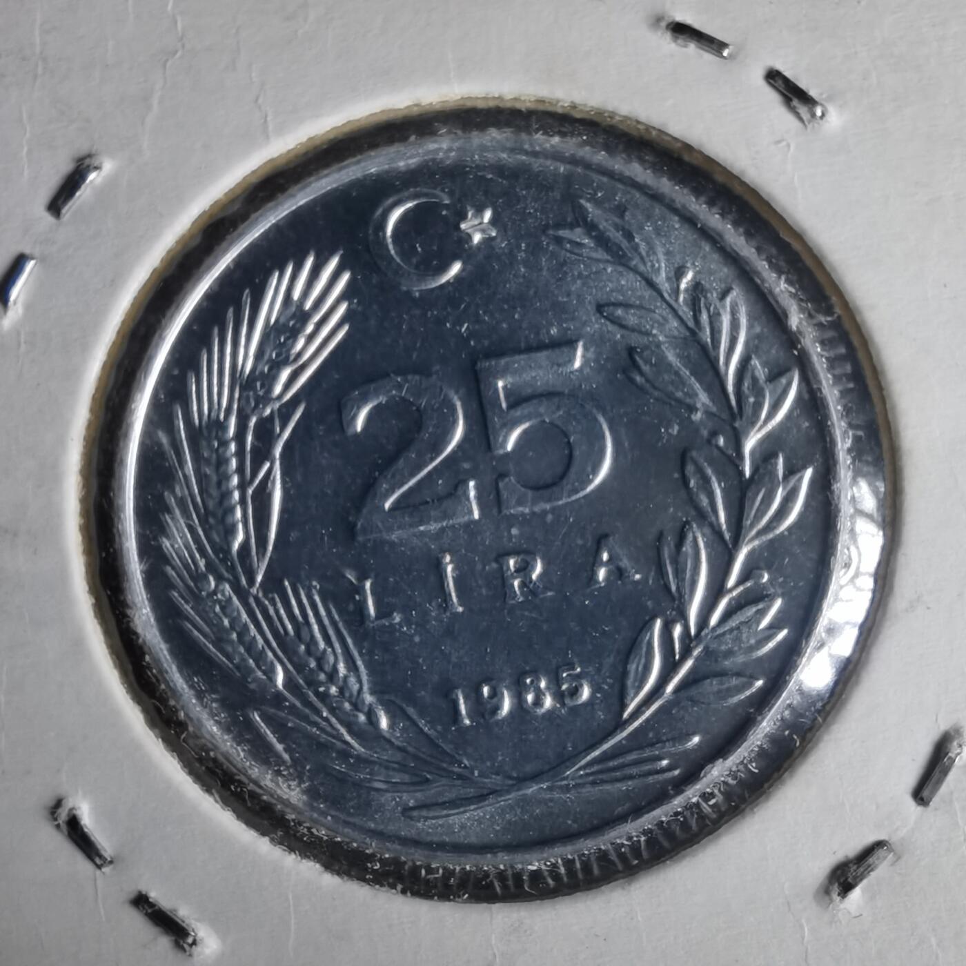 沼泽如烟--第981场