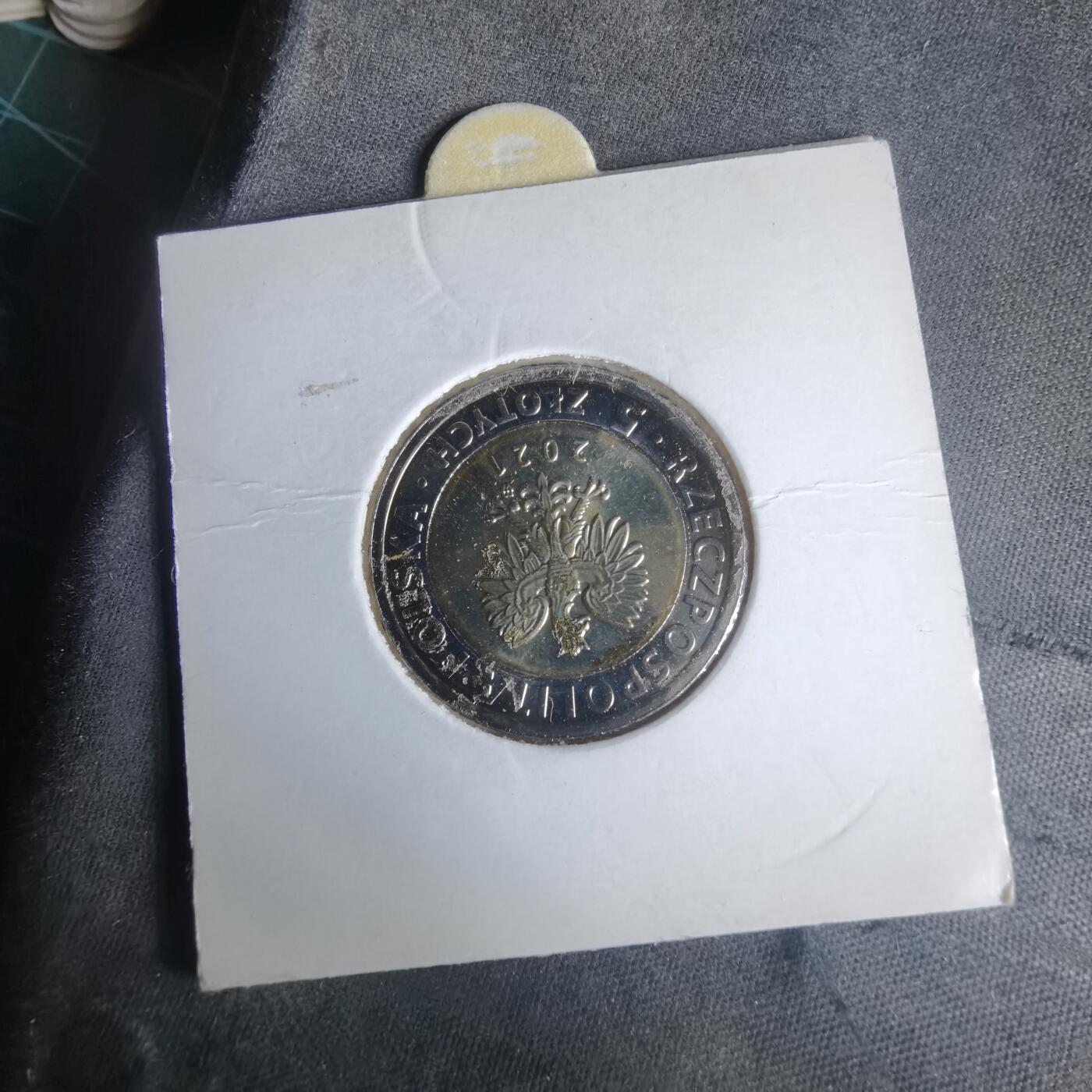 沼泽如烟--第981场