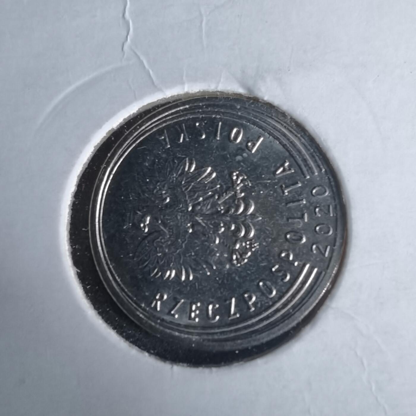 沼泽如烟--第981场 波兰2020年20格罗申