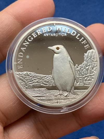 《竞宝斋》第463-465场 周日，周一，周二，3场连拍 （全场包邮）欢迎送拍 - 库克群岛2008年濒危野生动物-企鹅5元精制银币 925银 24.5克