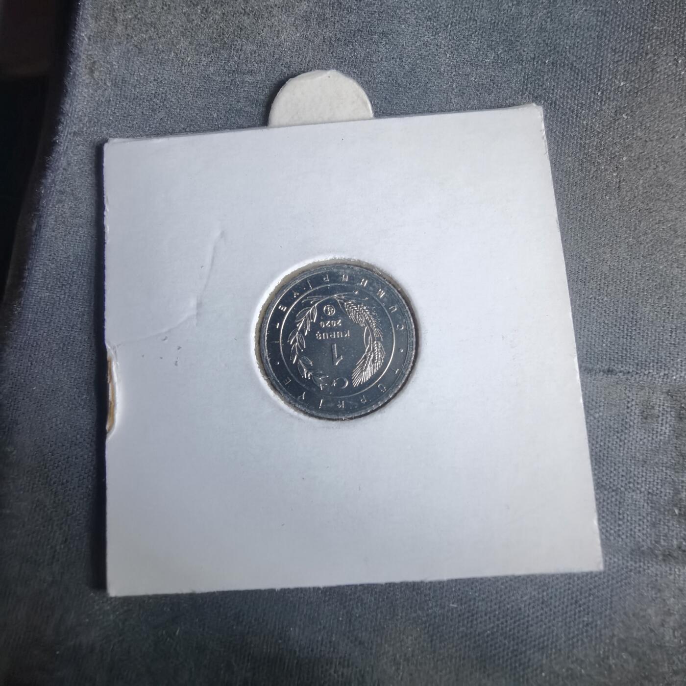 沼泽如烟--第981场 土耳其小鸟系列