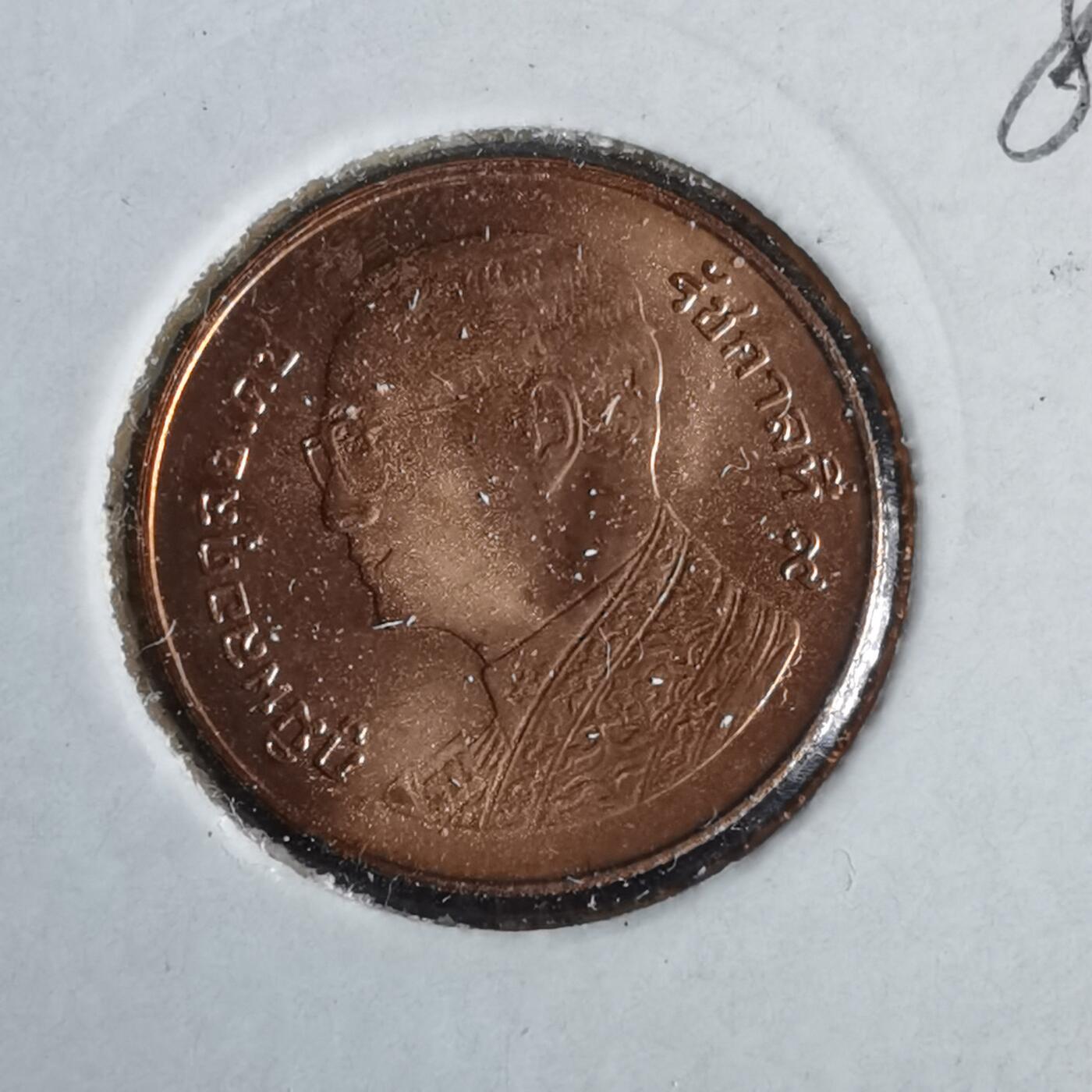 沼泽如烟--第981场 泰国