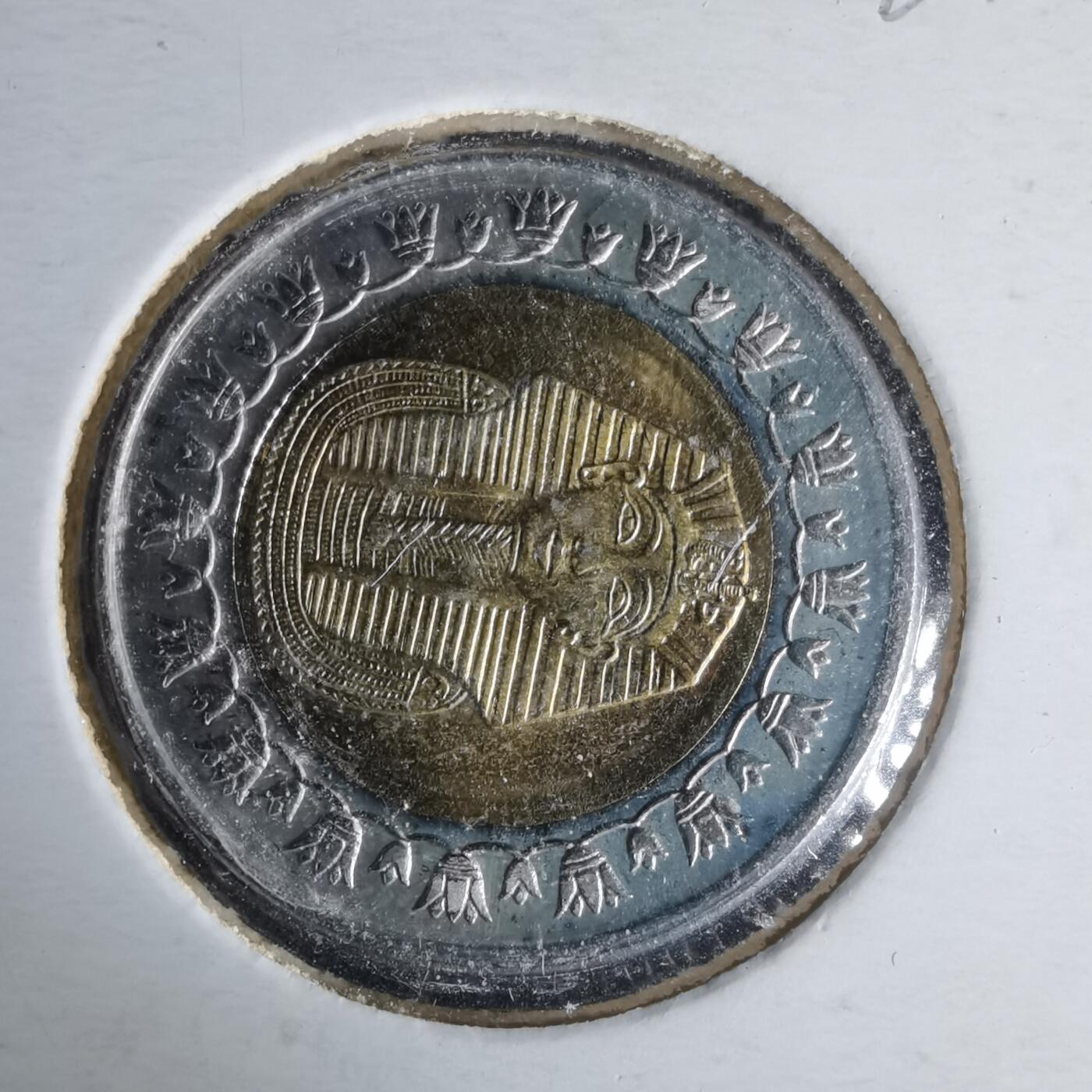 沼泽如烟--第981场 埃及2007年一磅