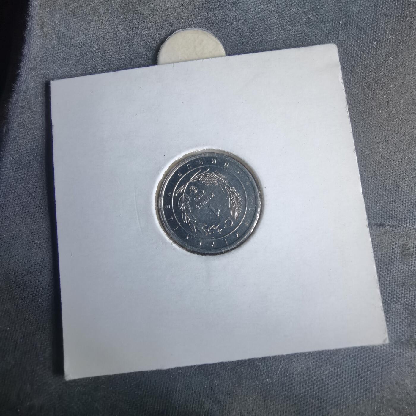 沼泽如烟--第981场 土耳其小鸟系列