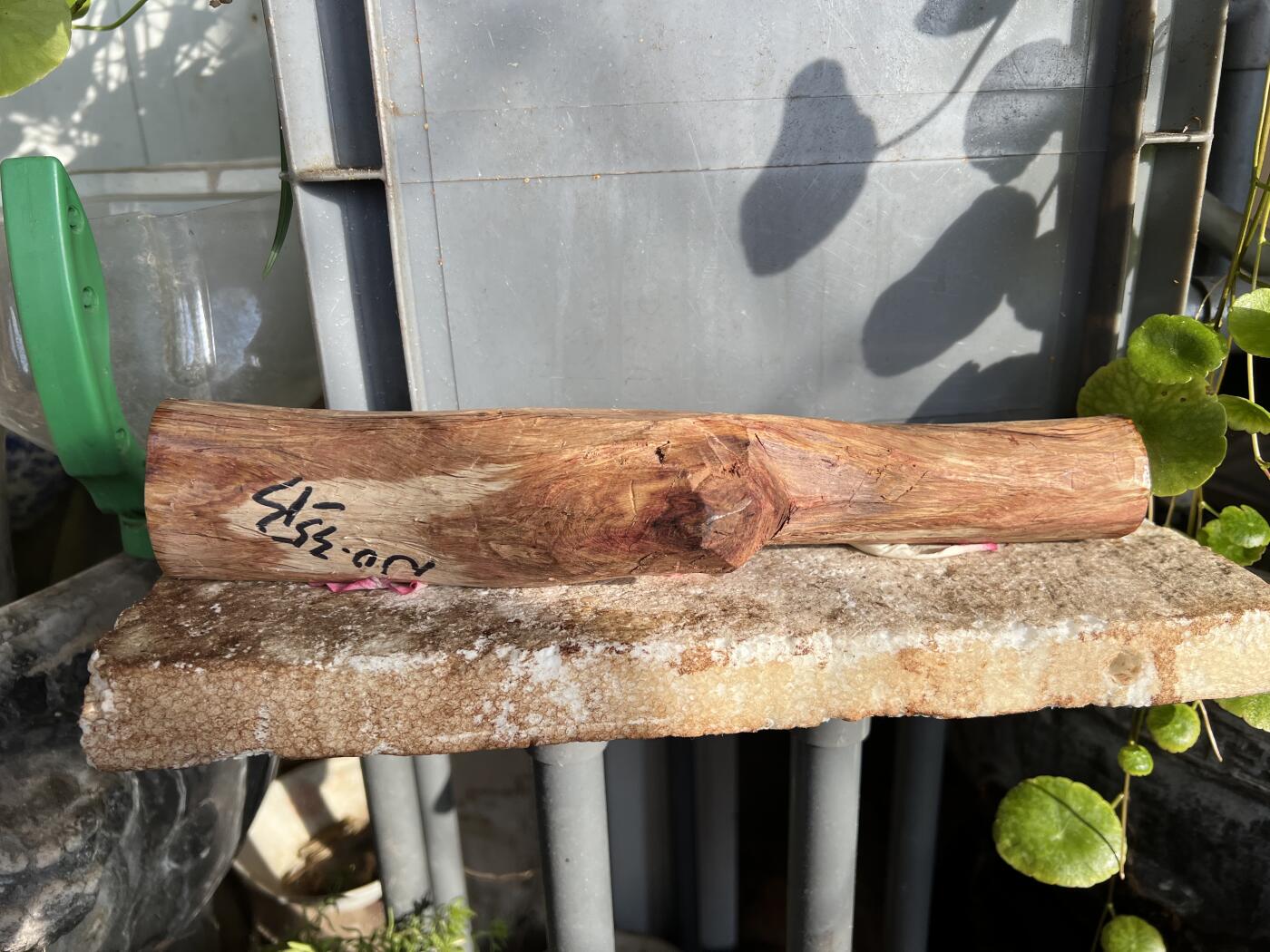 零元拍：NO.35-13海南黄花梨珠子把件料，外面白皮基本都去掉了，红肉打底花纹很漂亮。285/40/35MM