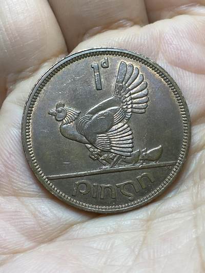 2026年第十七场(总第一百八十六场）外国好品散币场(免佣金) - 爱尔兰🇮🇪1965年1便士(共和国时期第一套第一版)