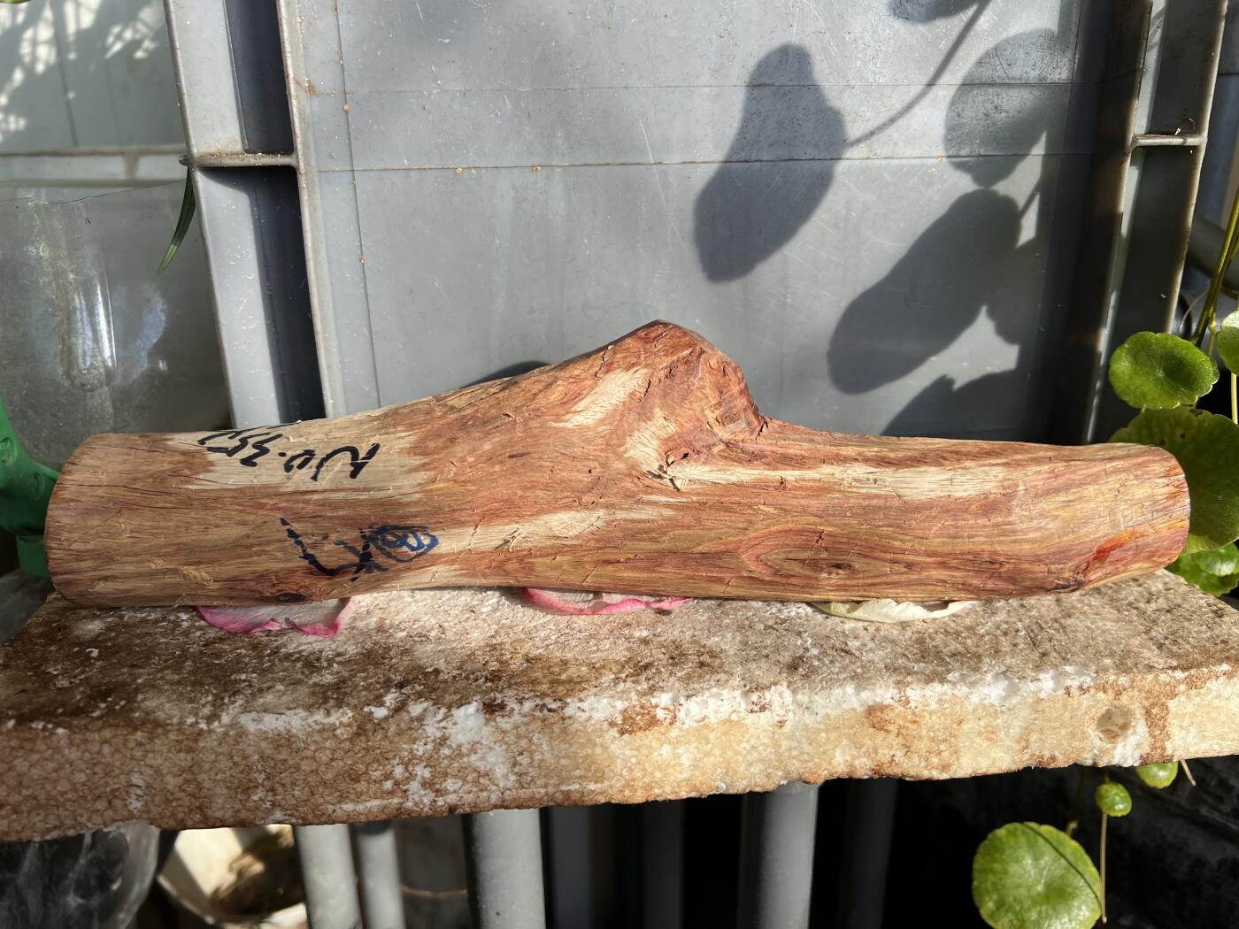 零元拍：NO.35-13海南黄花梨珠子把件料，外面白皮基本都去掉了，红肉打底花纹很漂亮。285/40/35MM