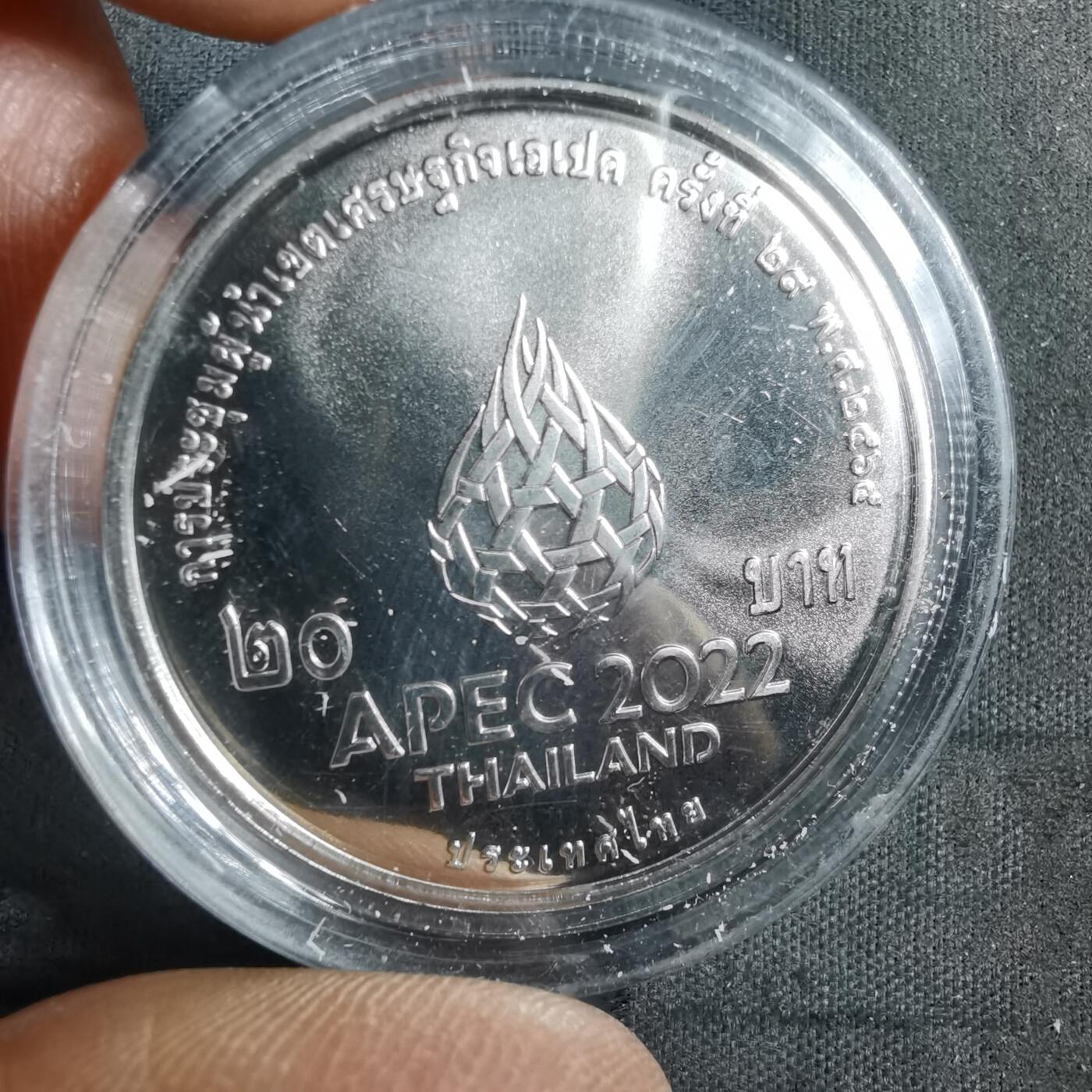 沼泽如烟--第982场