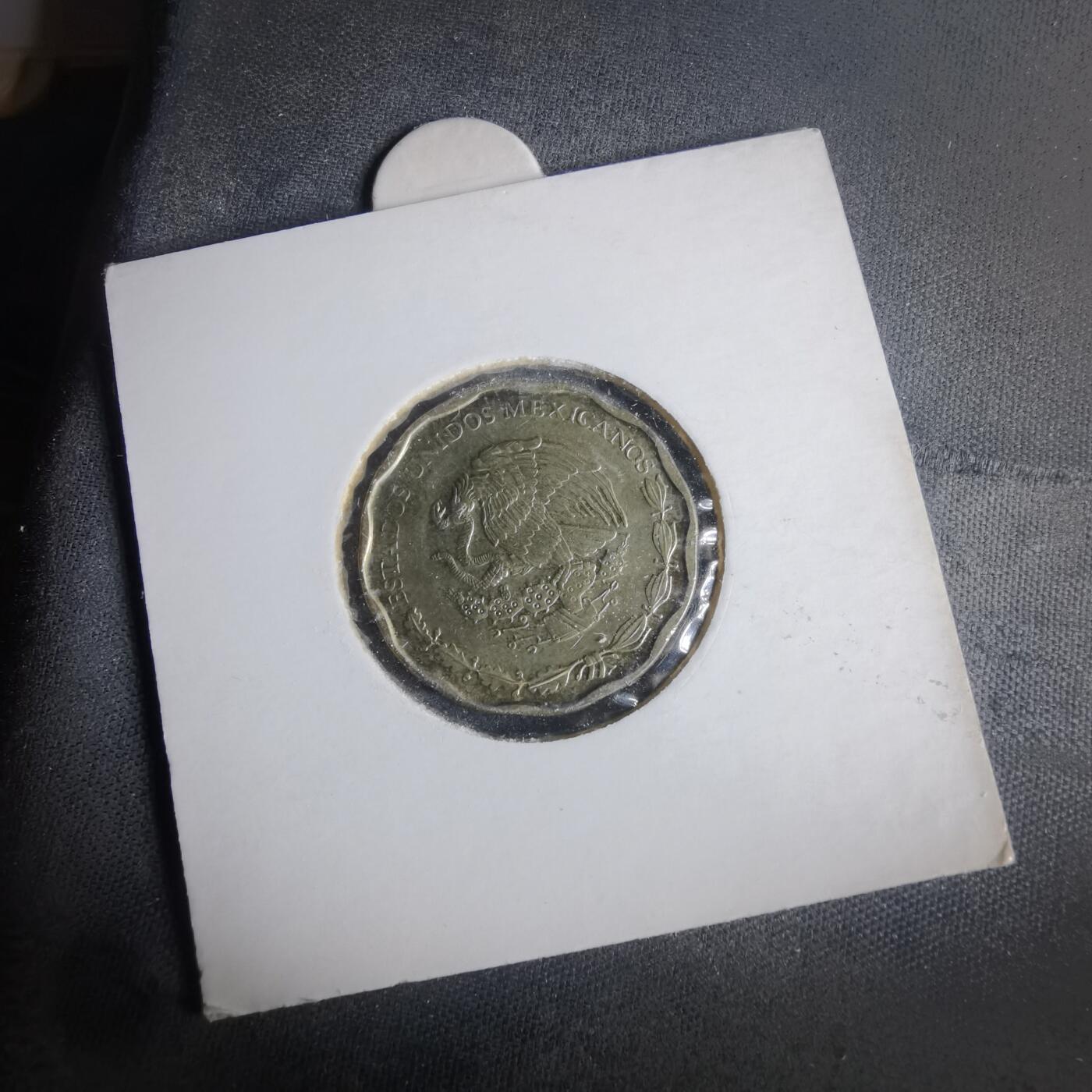 沼泽如烟--第981场