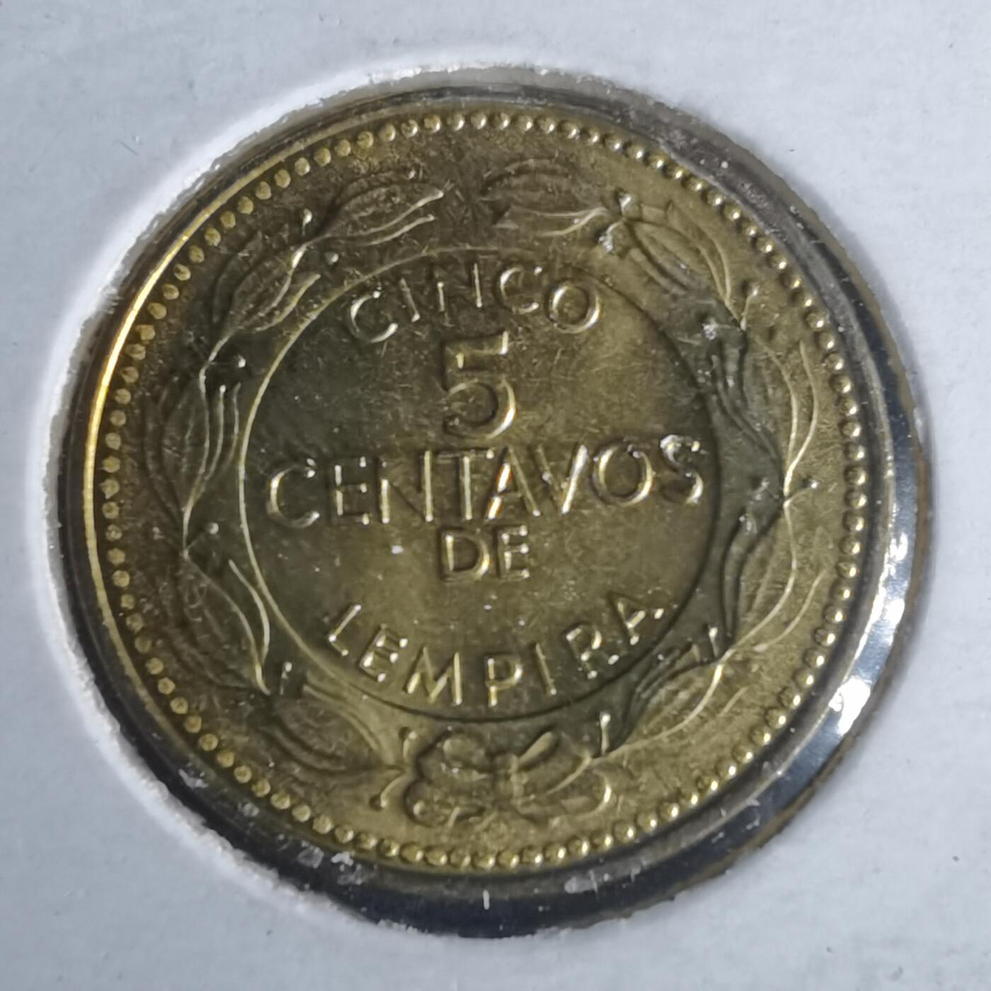 沼泽如烟--第981场