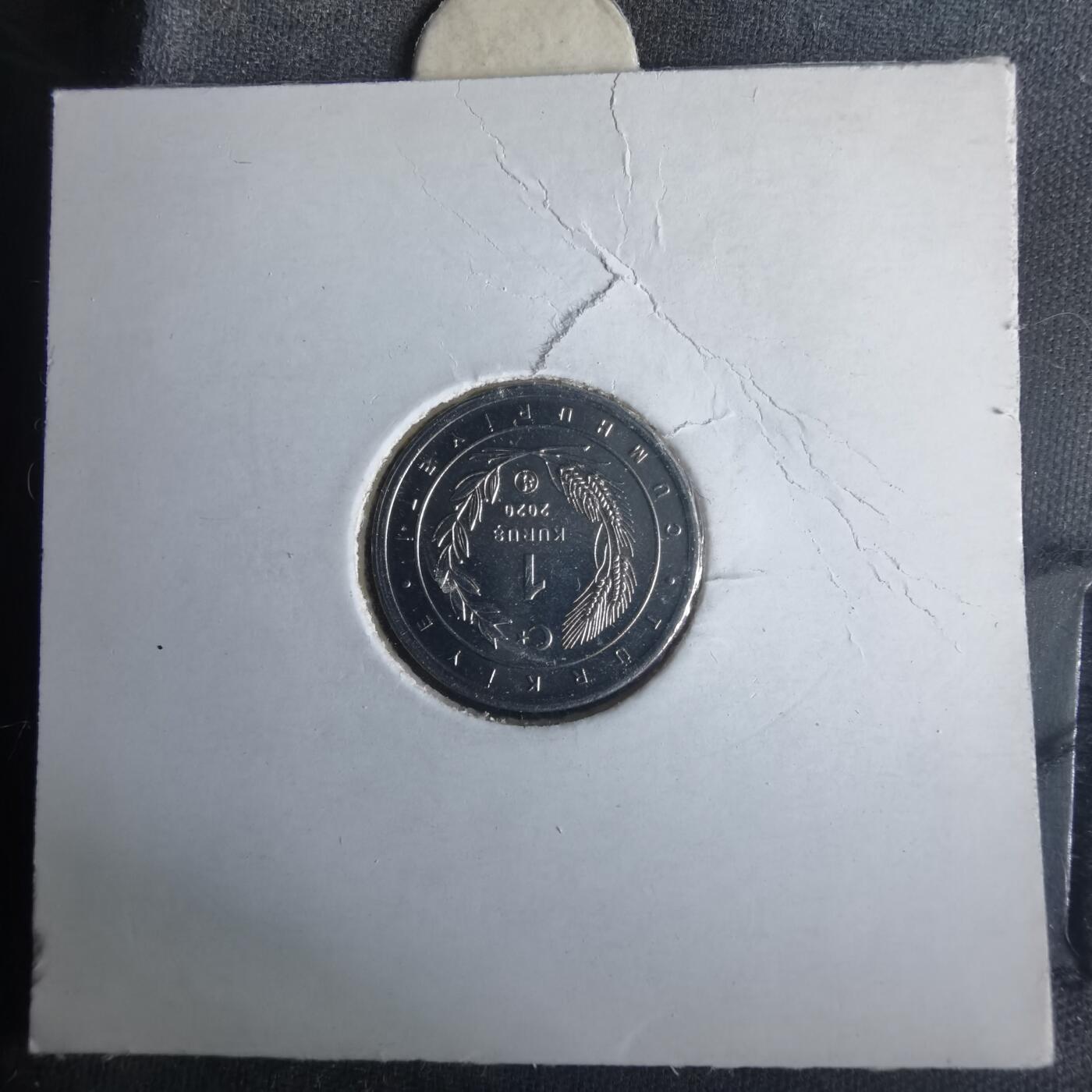 沼泽如烟--第981场 土耳其小鸟系列