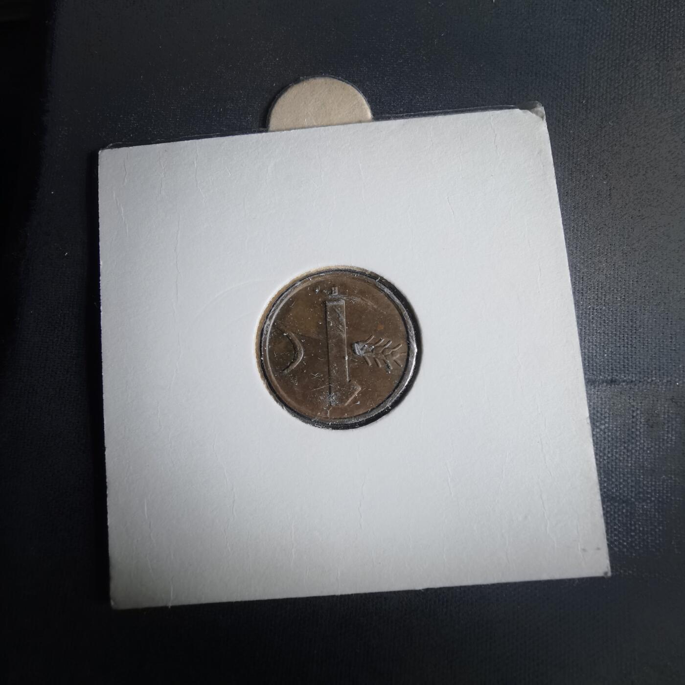 沼泽如烟--第981场 瑞士1951年一分