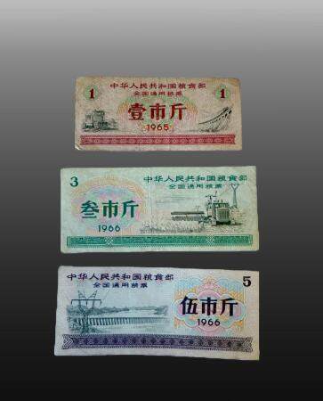 安欣年度票证专场 - 粮票