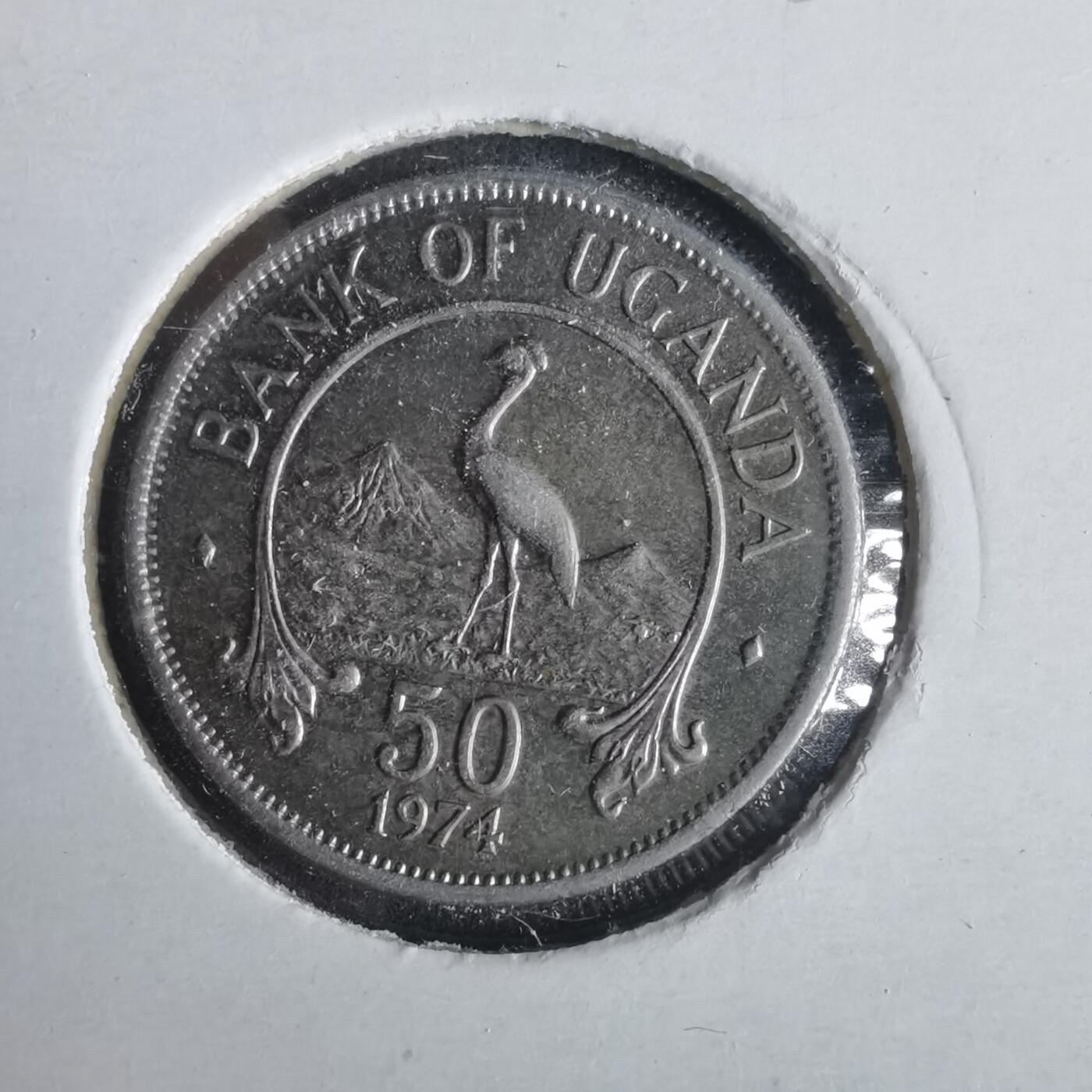 沼泽如烟--第981场