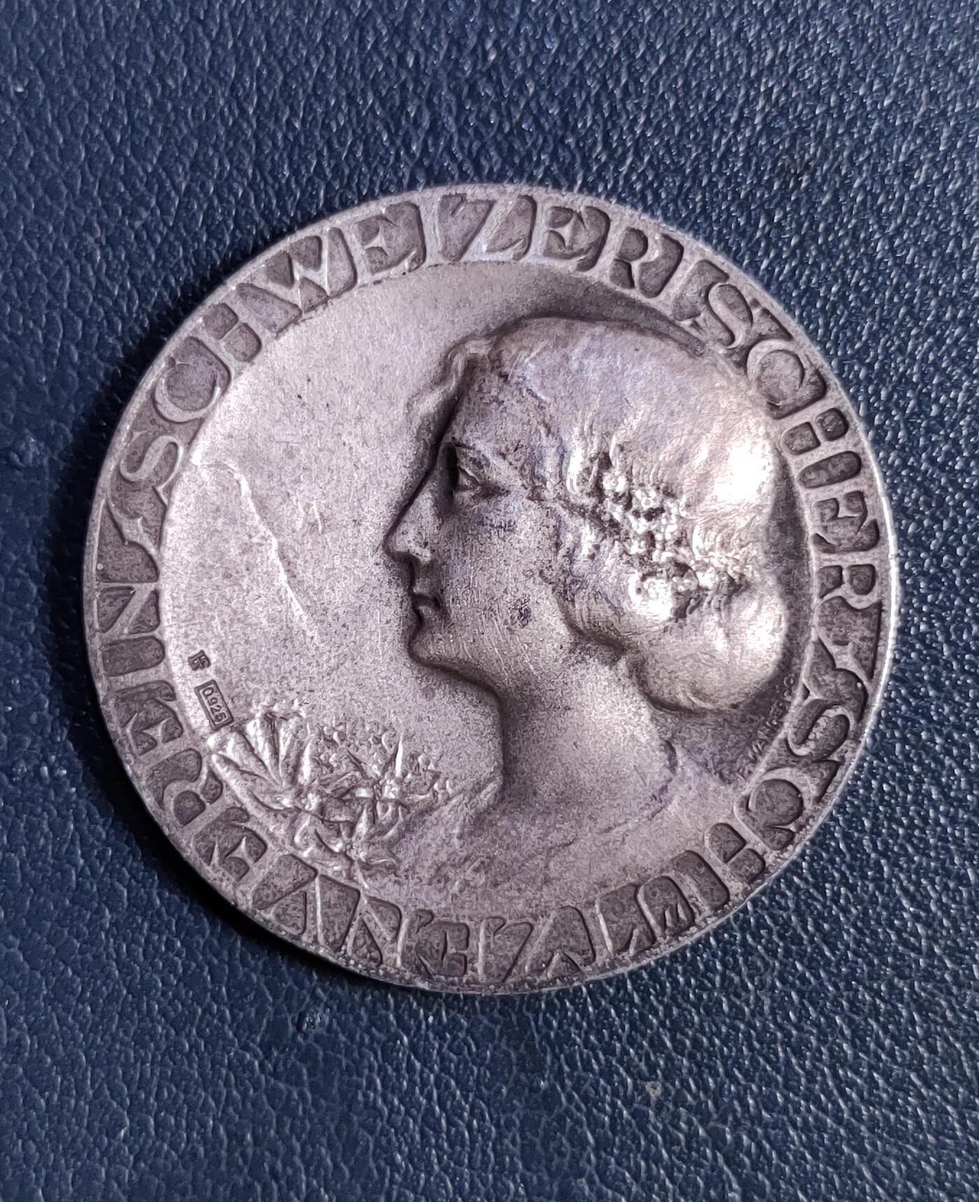 瑞士射击节雪山女神银章