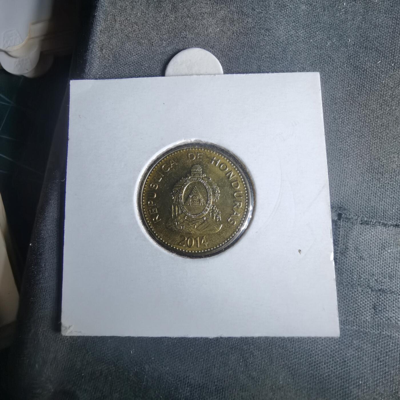 沼泽如烟--第981场