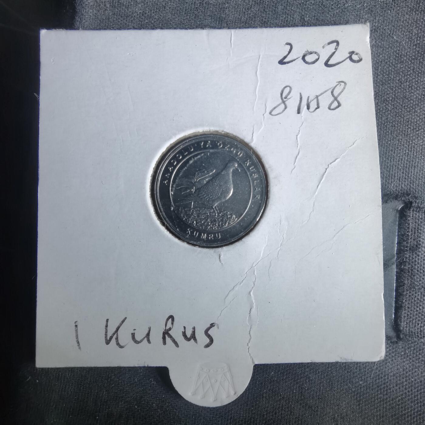 沼泽如烟--第981场 土耳其小鸟系列