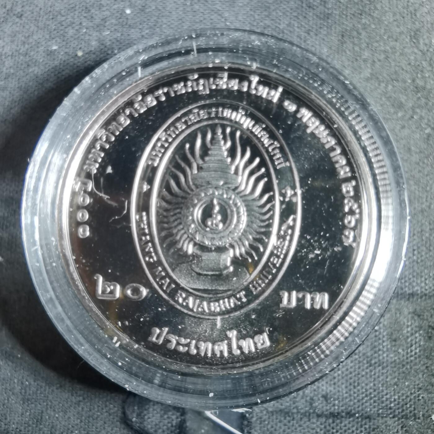 沼泽如烟--第982场