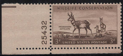 洪涛臻品批发群 精选邮票限时拍卖第1244期  - 1956 美国濒危野生保护动物-羚羊 左下角边带版号！雕刻版原胶全品！