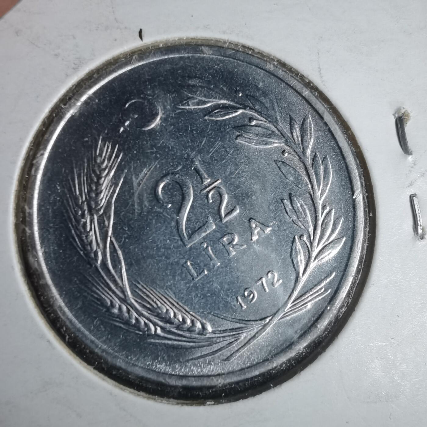 沼泽如烟--第981场