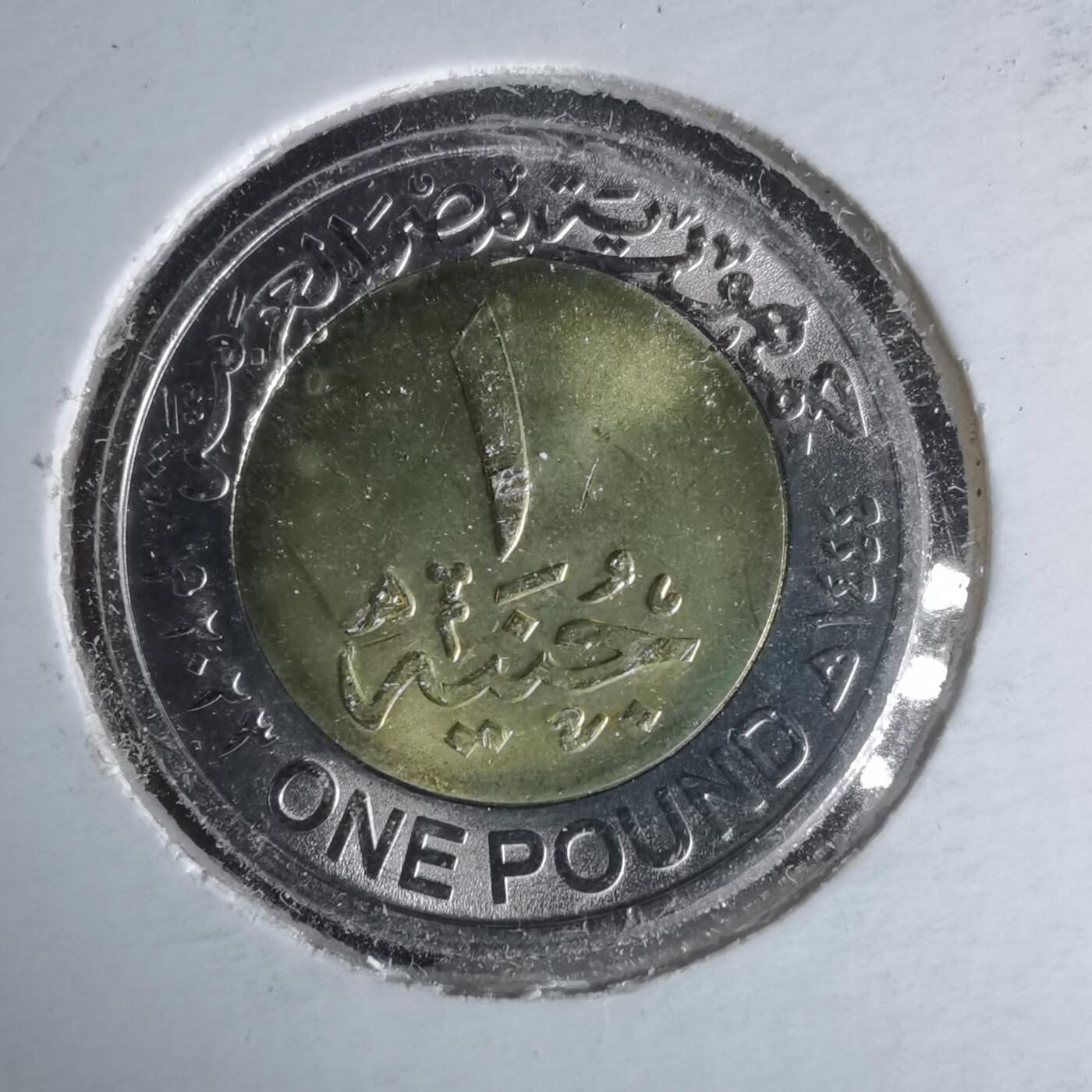 沼泽如烟--第981场 埃及2023年1磅纪念币