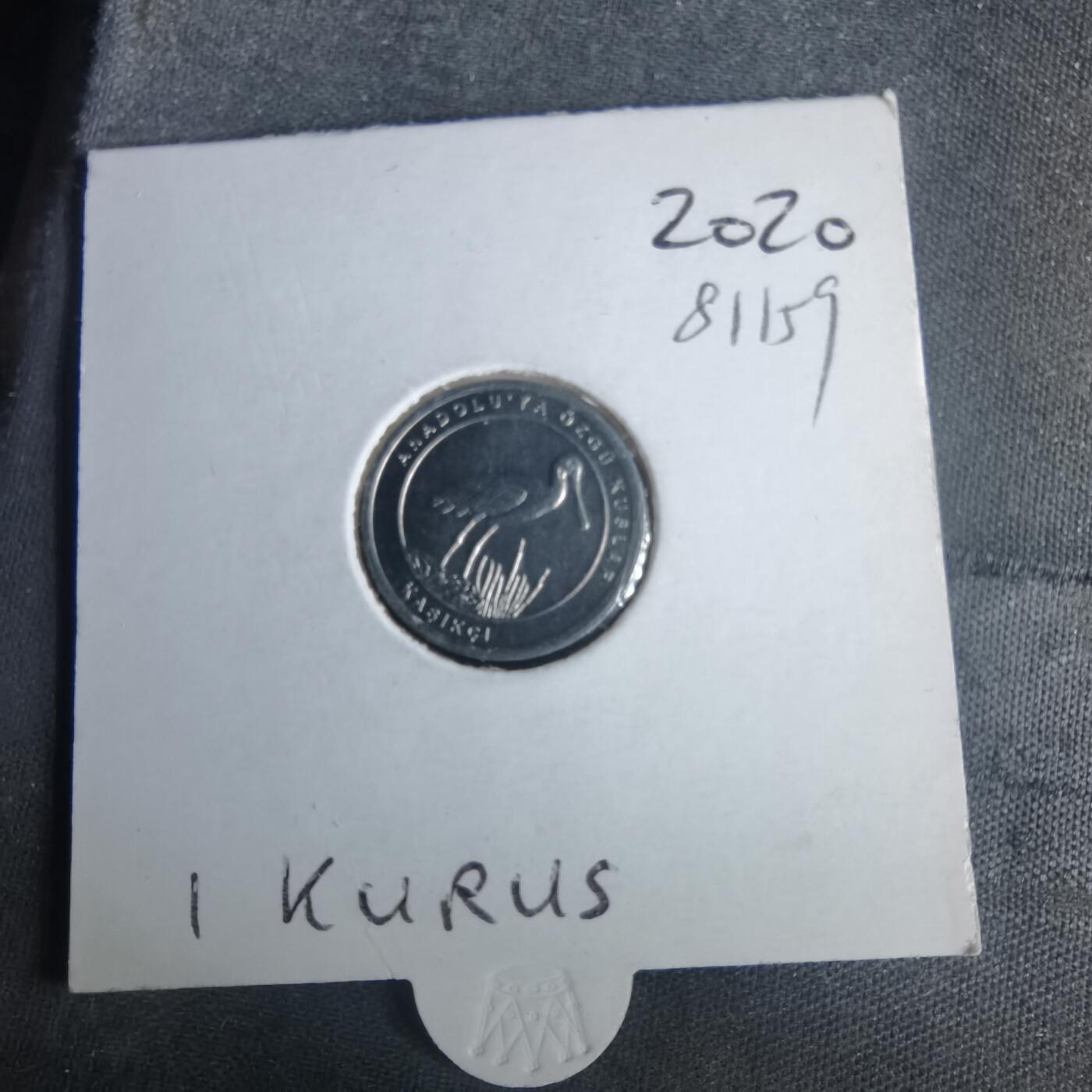 沼泽如烟--第981场 土耳其小鸟系列