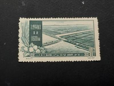 博彦收藏 TM  2月7日 8点邮票专场 全场包邮 - 特19 4-4 新一枚 上品