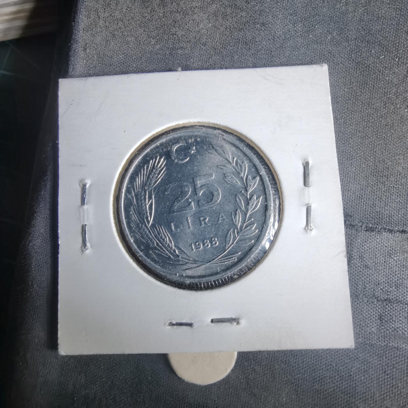 沼泽如烟--第981场