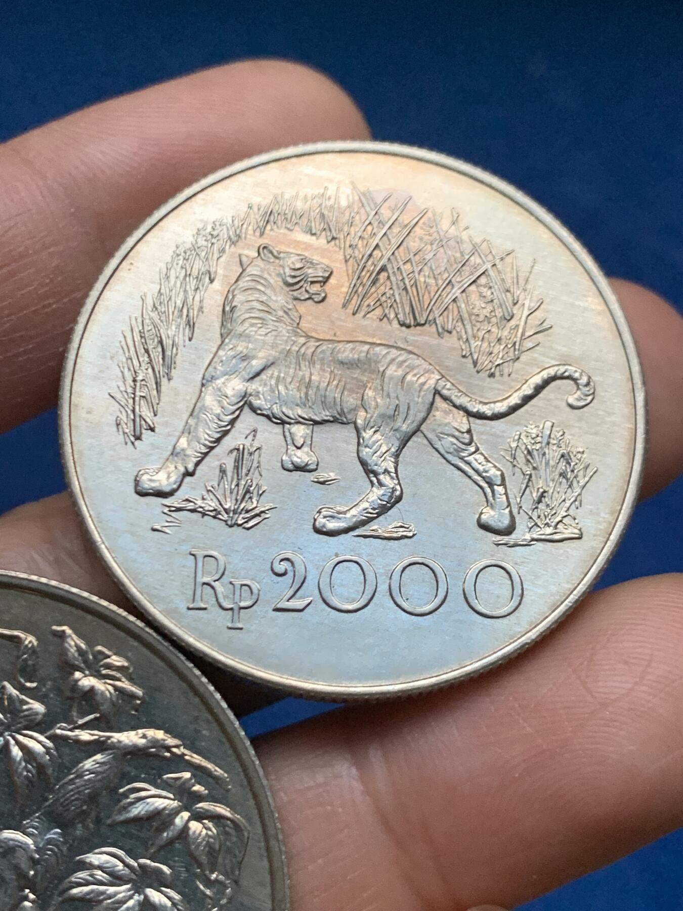 《竞宝斋》第463-465场 周日，周一，周二，3场连拍 （全场包邮）欢迎送拍 两枚一组 1974年印尼爪哇虎大猩猩银币 500银 总重57.5克