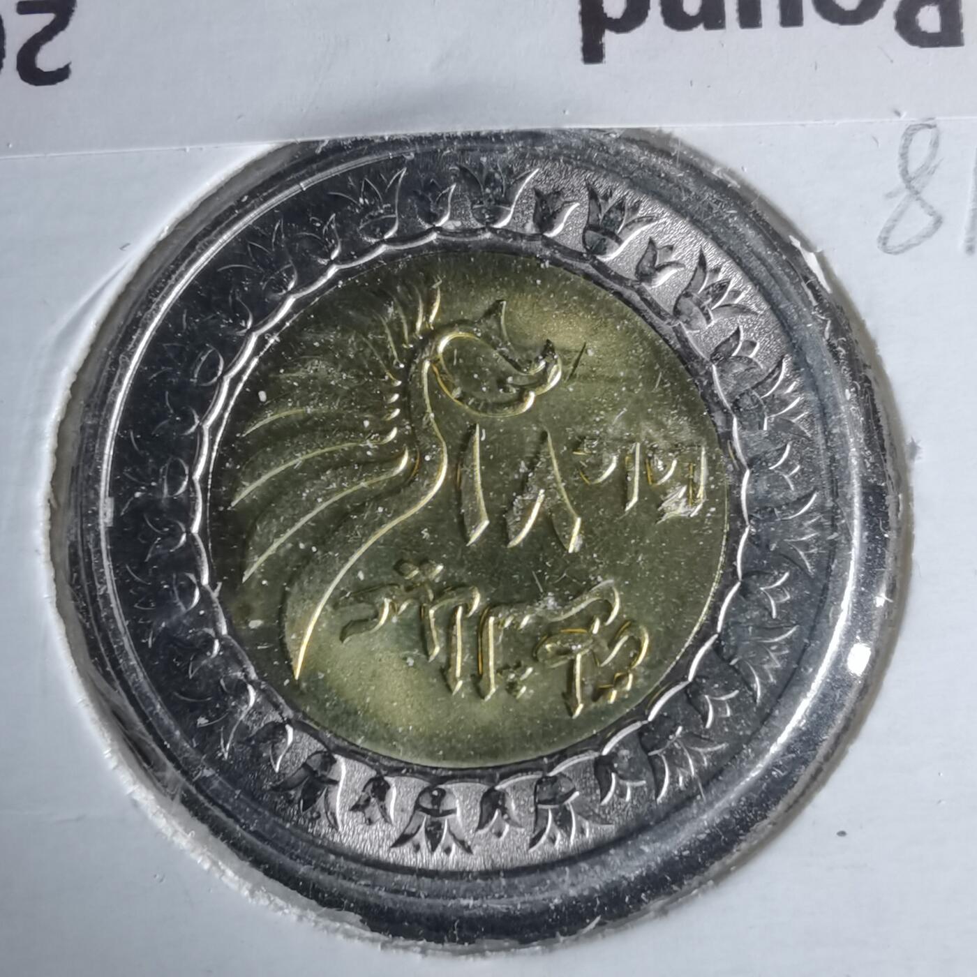 沼泽如烟--第981场 埃及2023年1磅纪念币