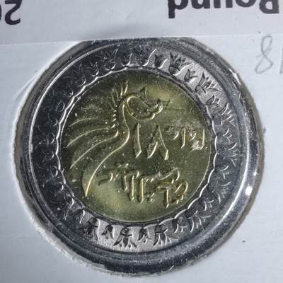 沼泽如烟--第981场 - 埃及2023年1磅纪念币