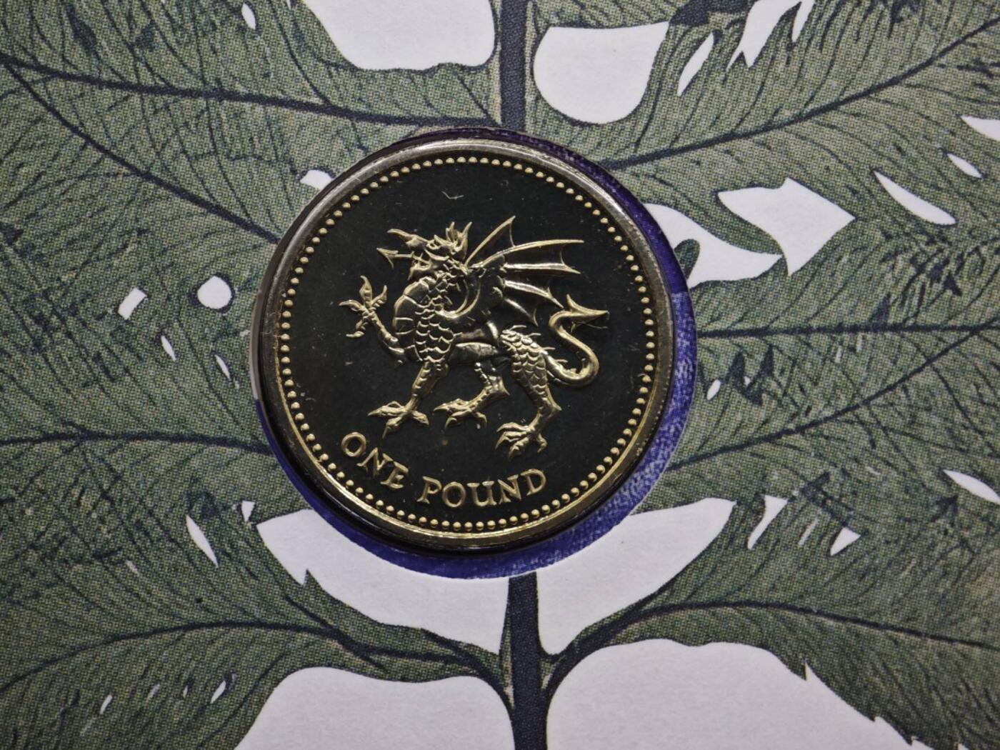 【淘币小摊】限时拍第八百六十二拍  克朗币邮币封场  满百包邮可预留两周  周一统一发货  英国2000年一镑铜币邮币封